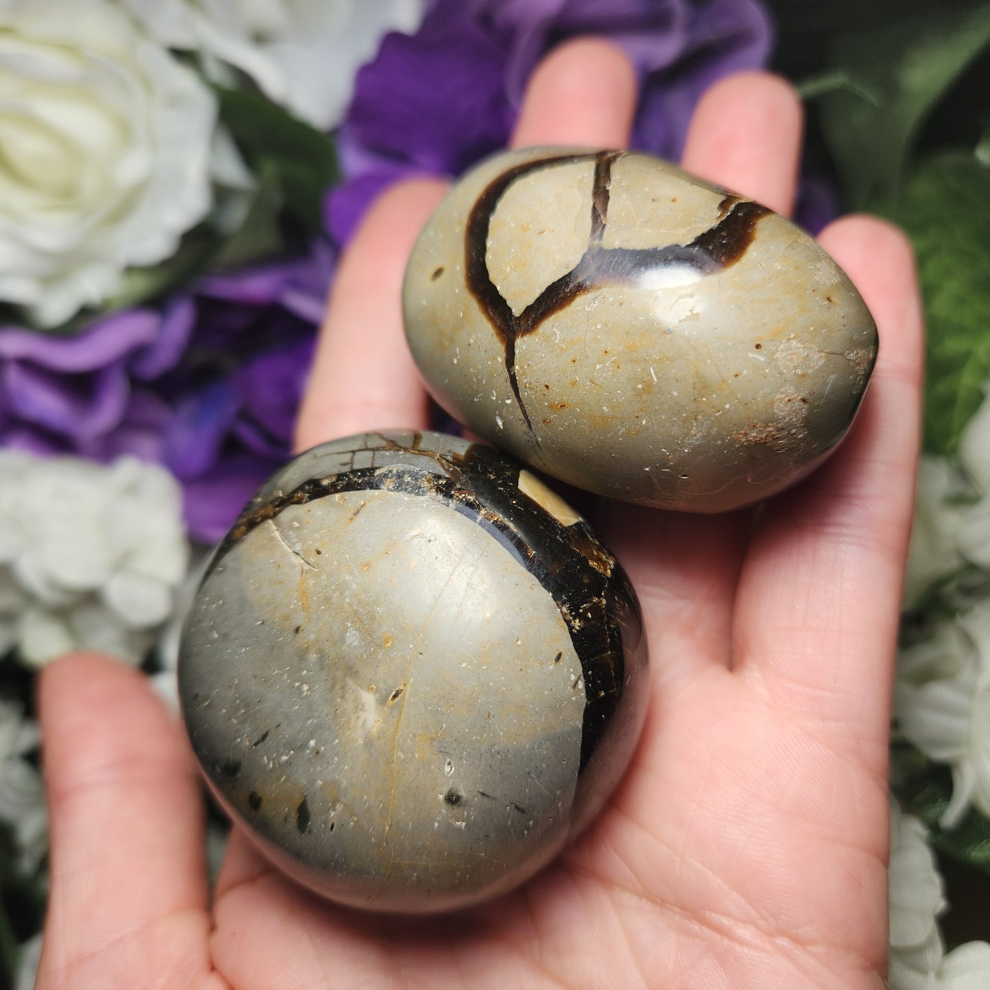 Septarian Nodule