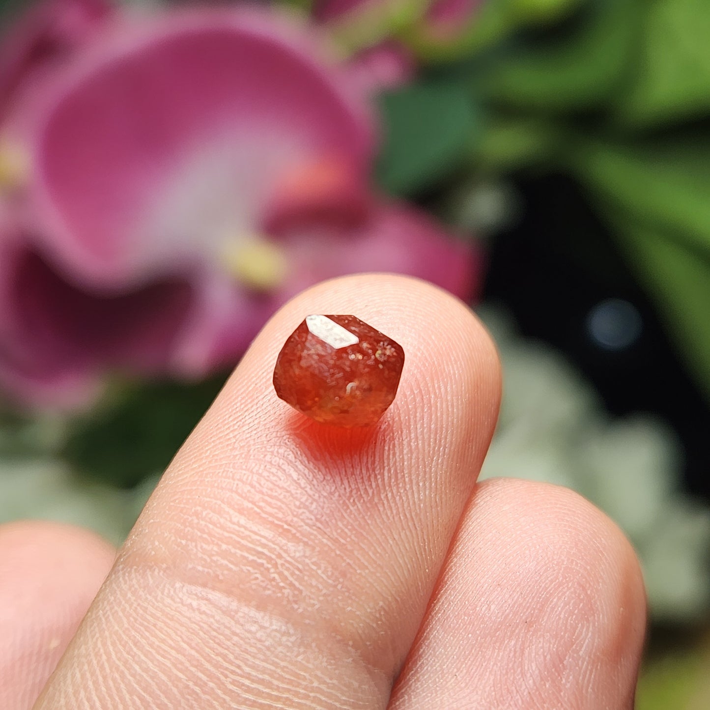Strawberry Garnet