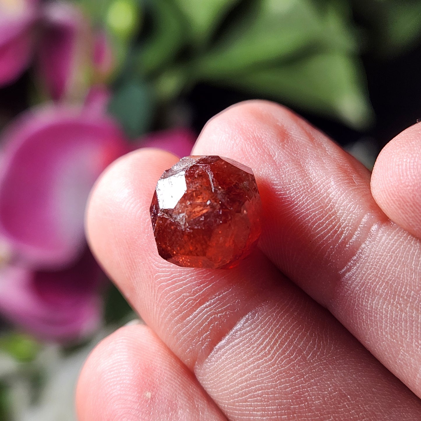 Strawberry Garnet