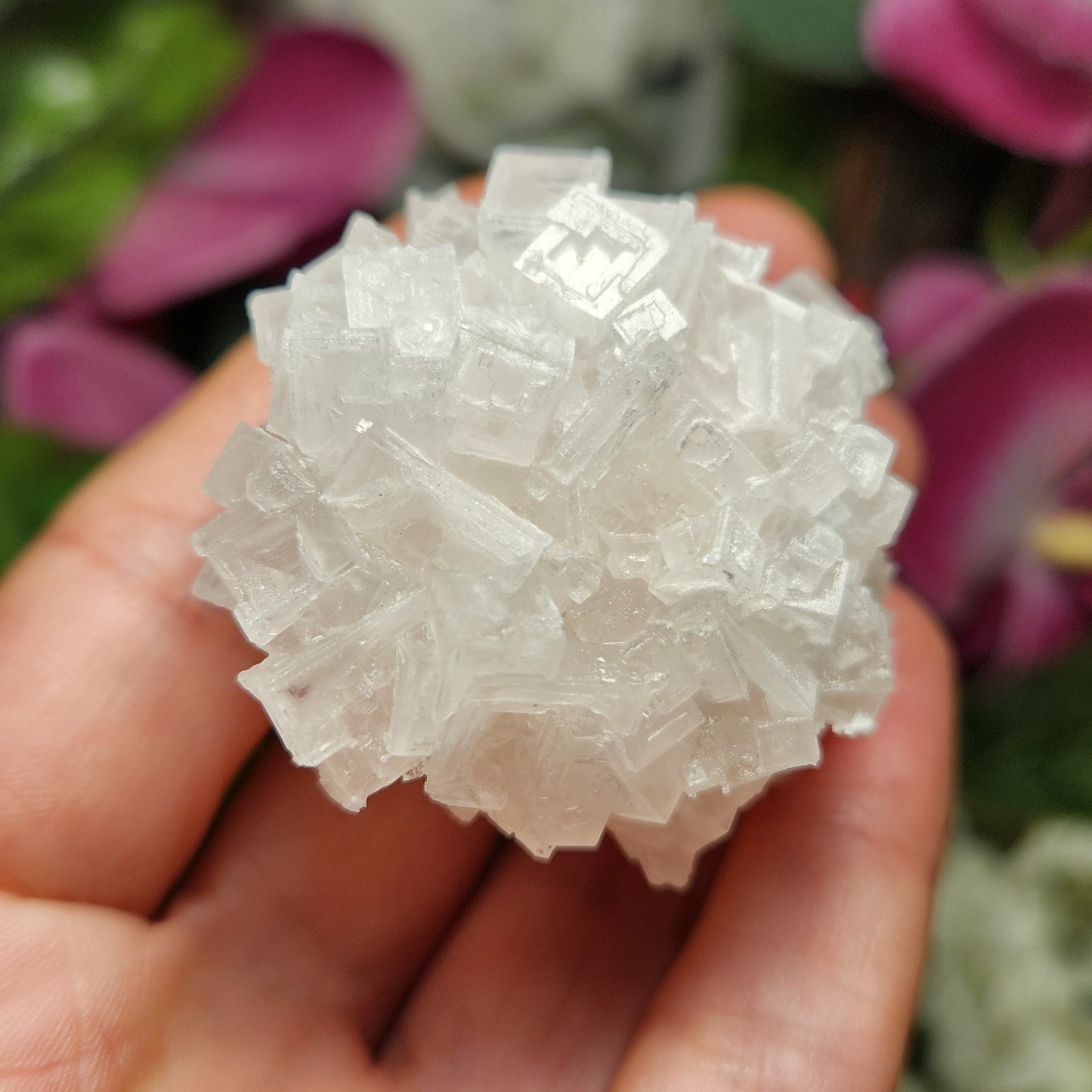 Pink Halite