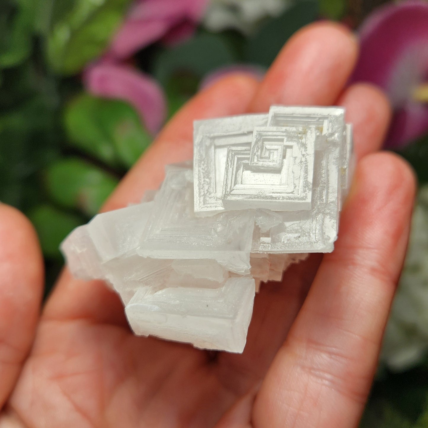 Pink Halite