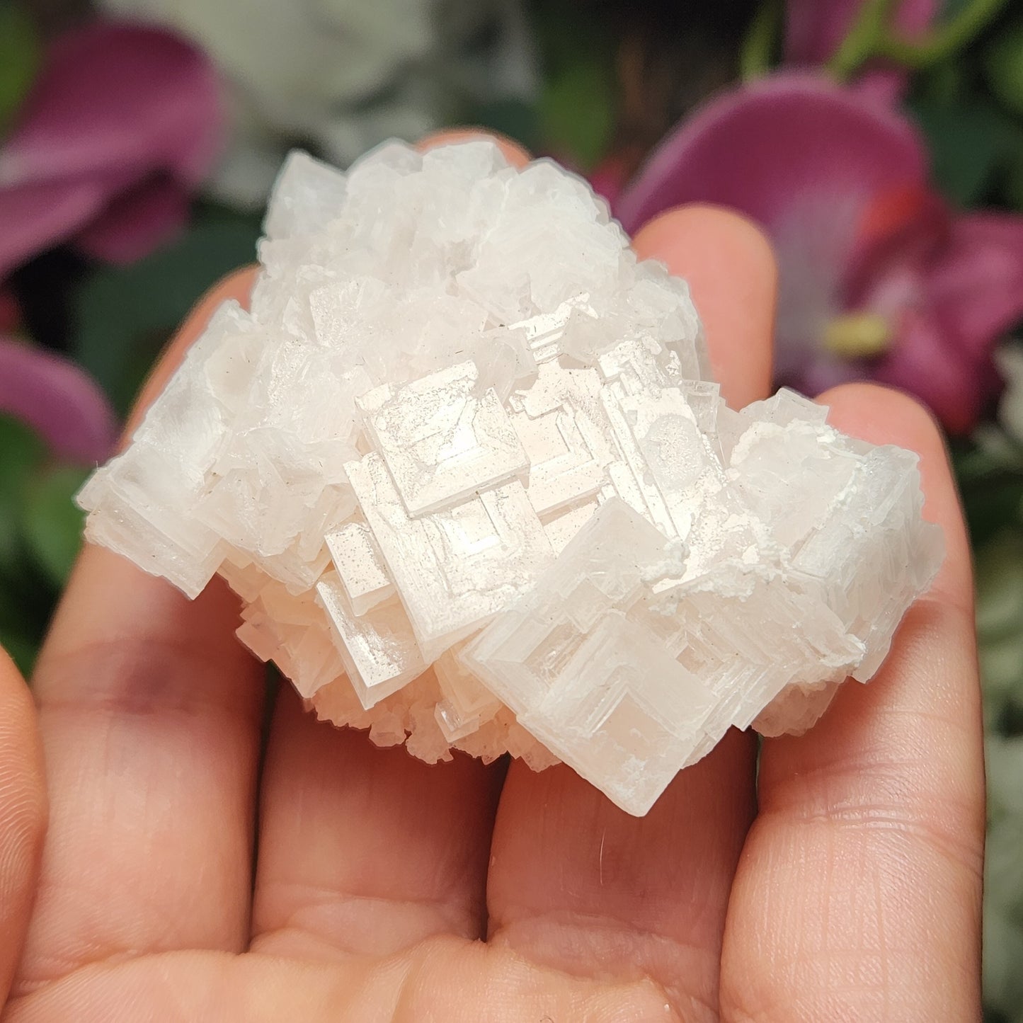 Pink Halite