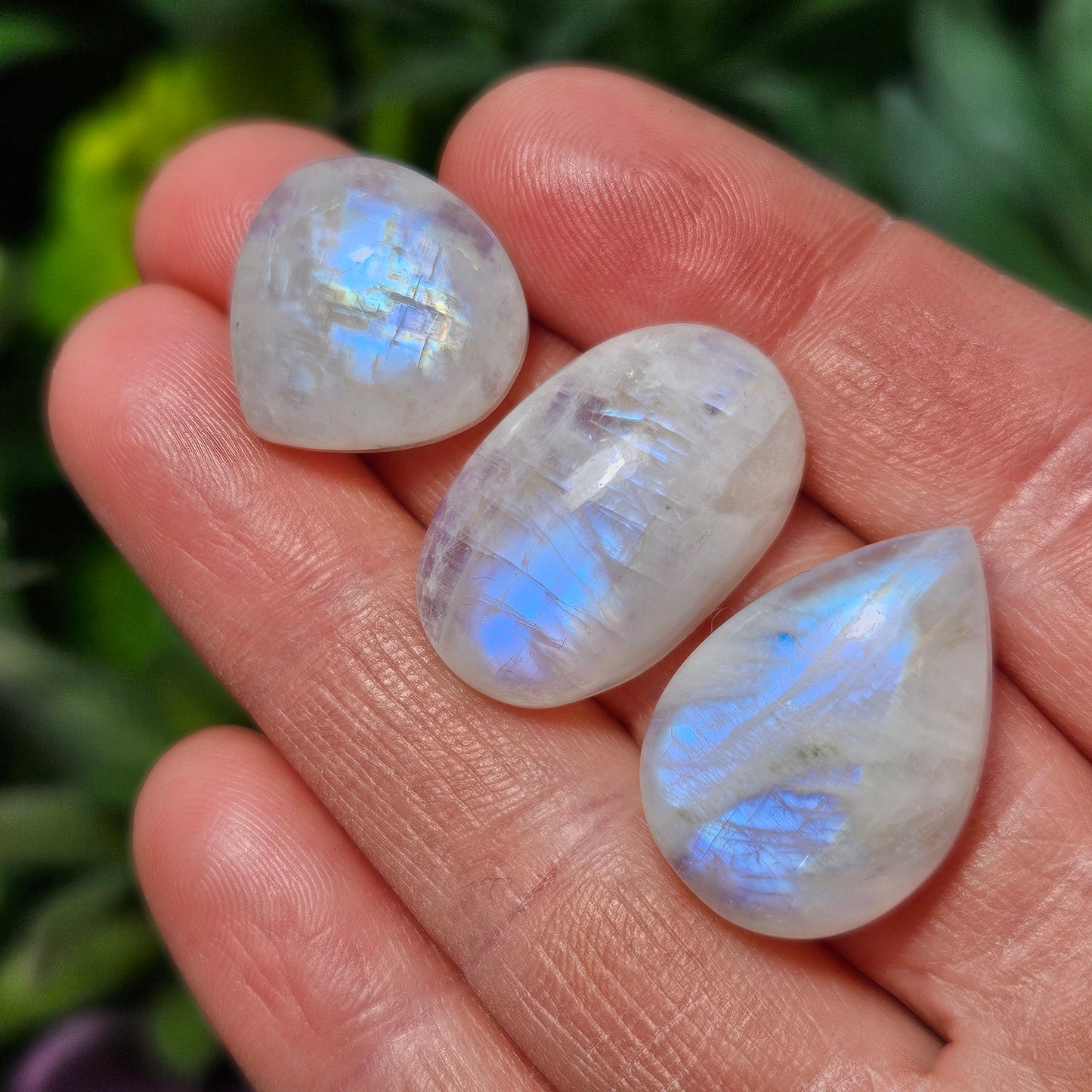 Rainbow Moonstone