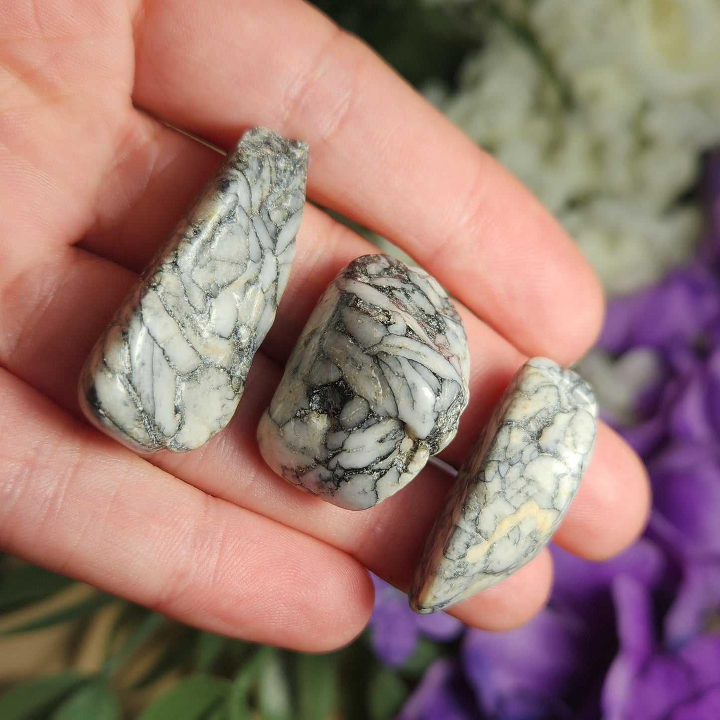 Pinolith Crystal