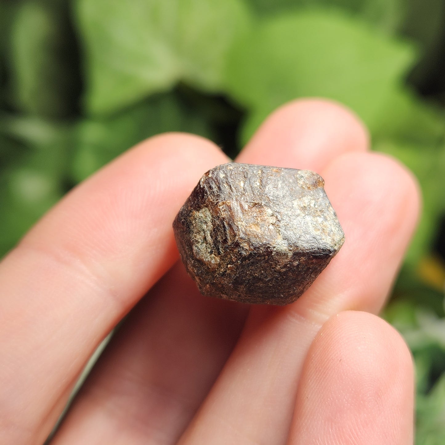 Raw Garnet