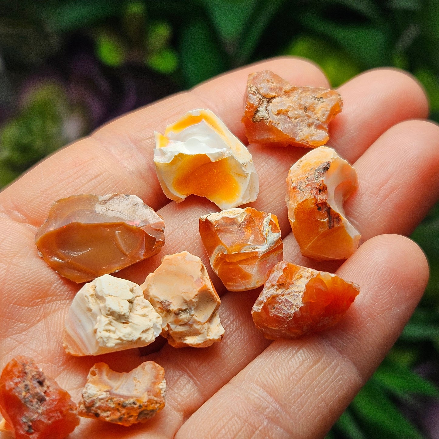 Fire Opal Specimen