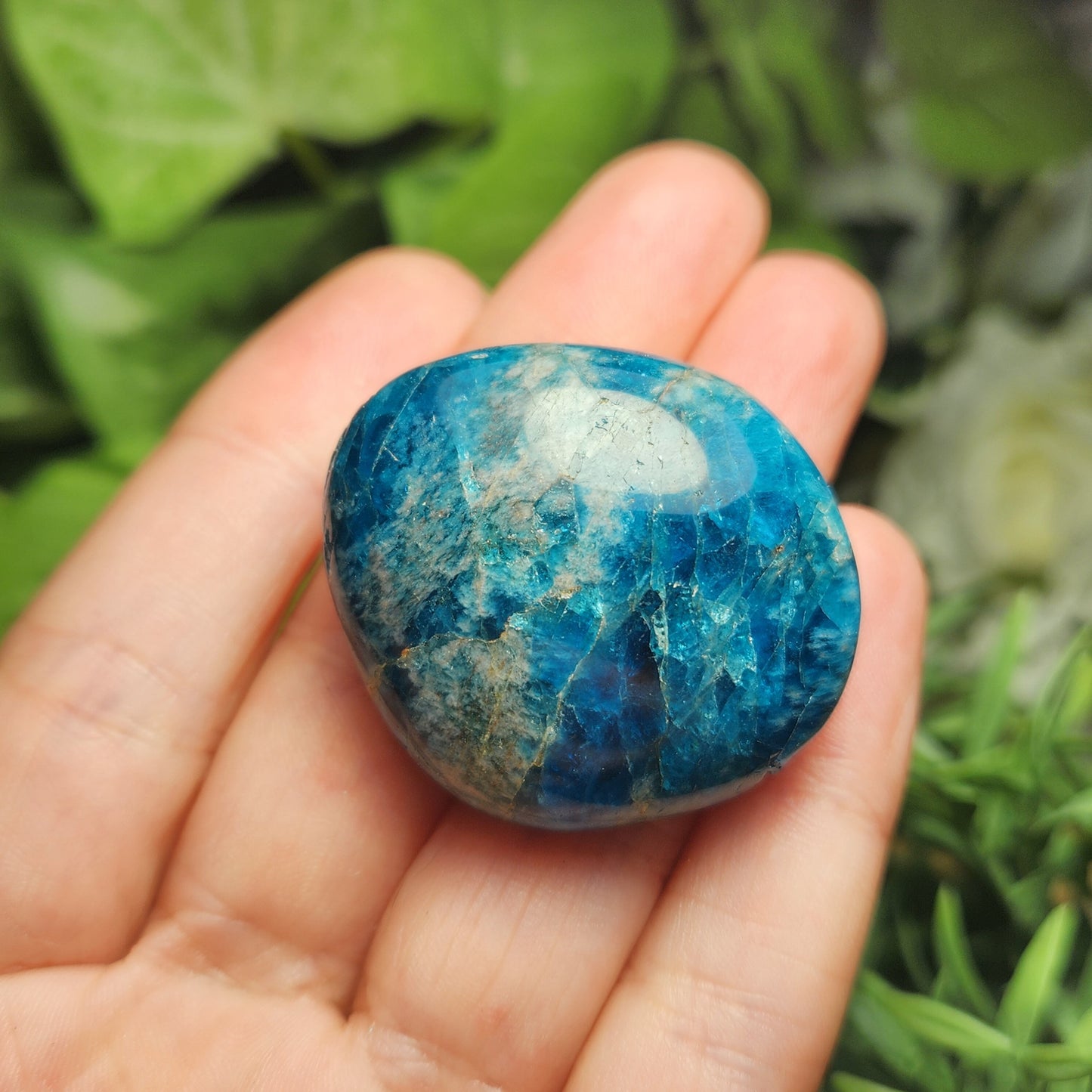 Blue Apatite Palm Stone