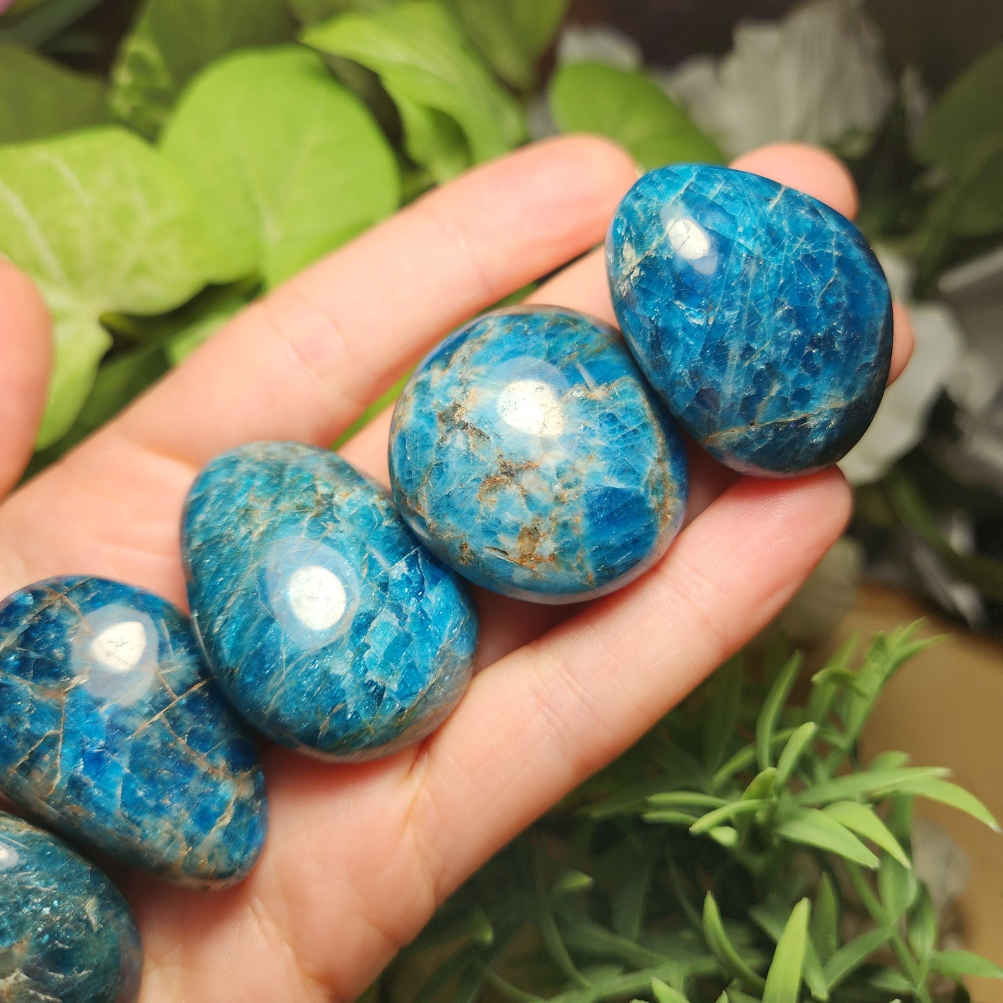 Blue Apatite Palm Stone