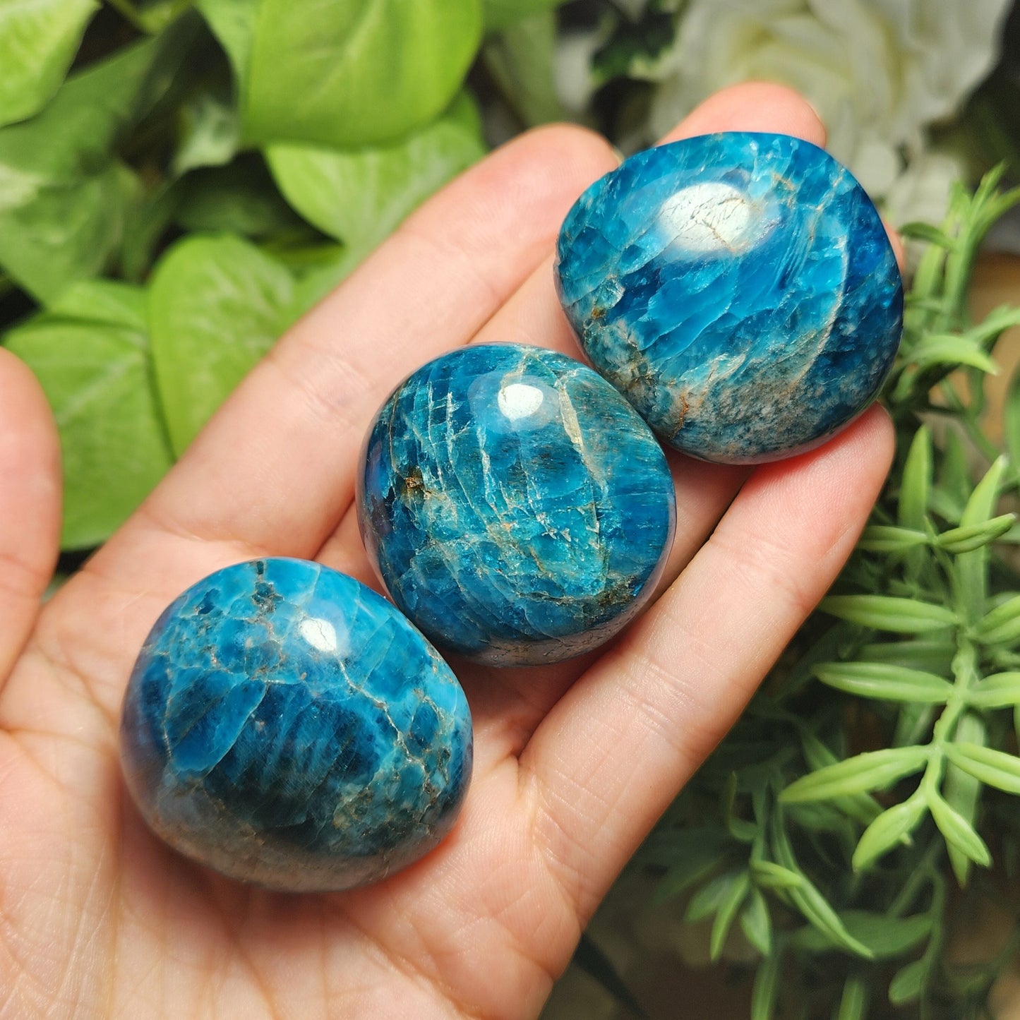 Blue Apatite Palm Stone