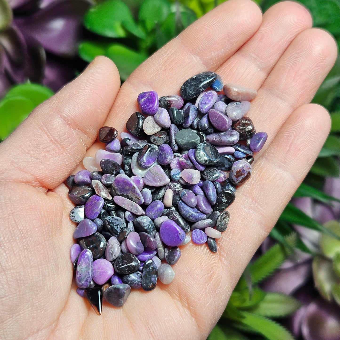 Sugilite Crystal Chips