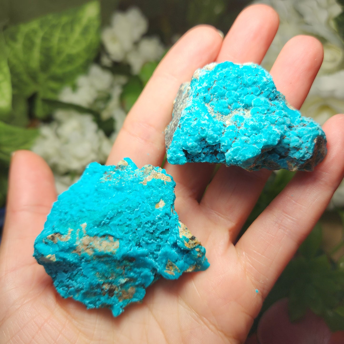 Chrysocolla Specimen