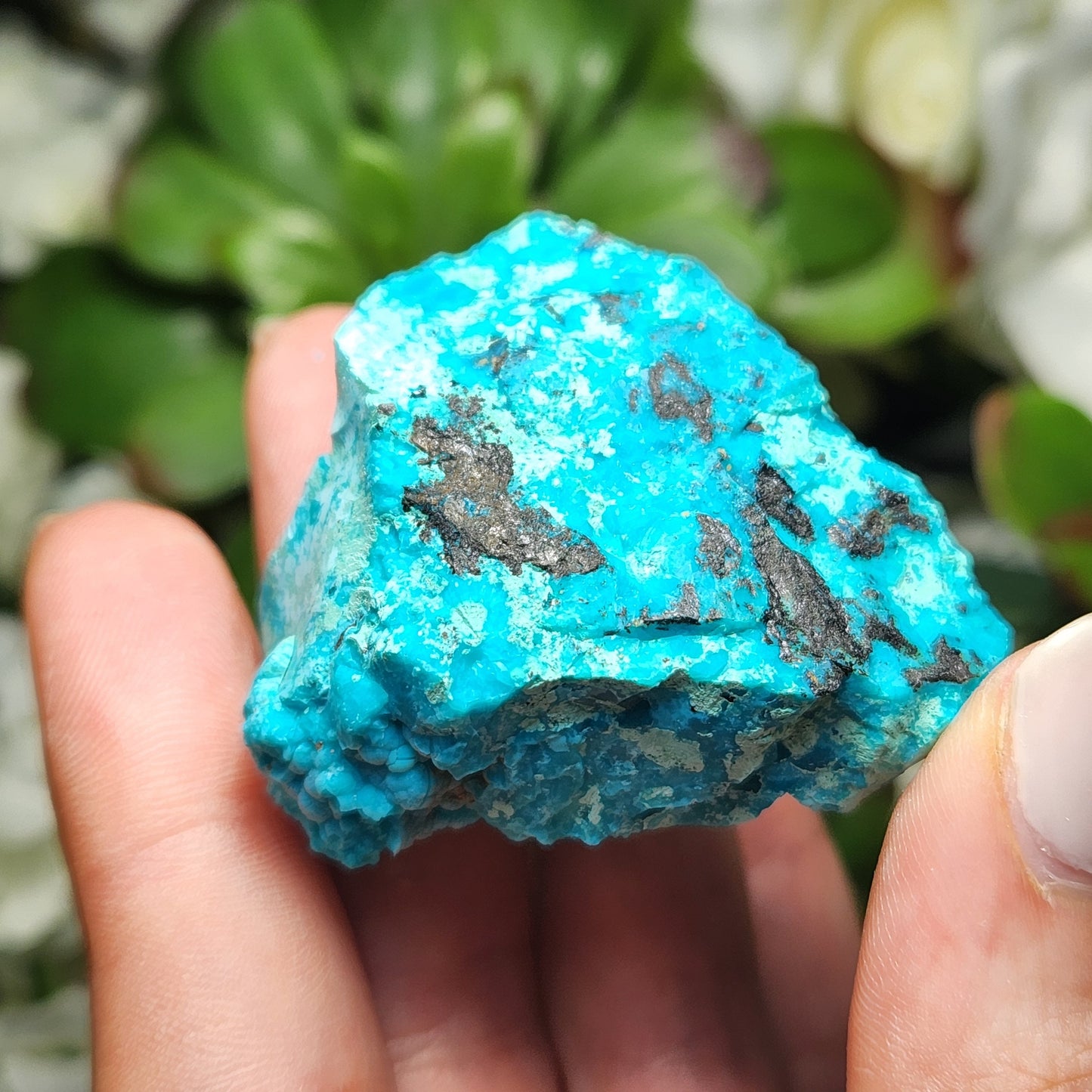 Chrysocolla Specimen
