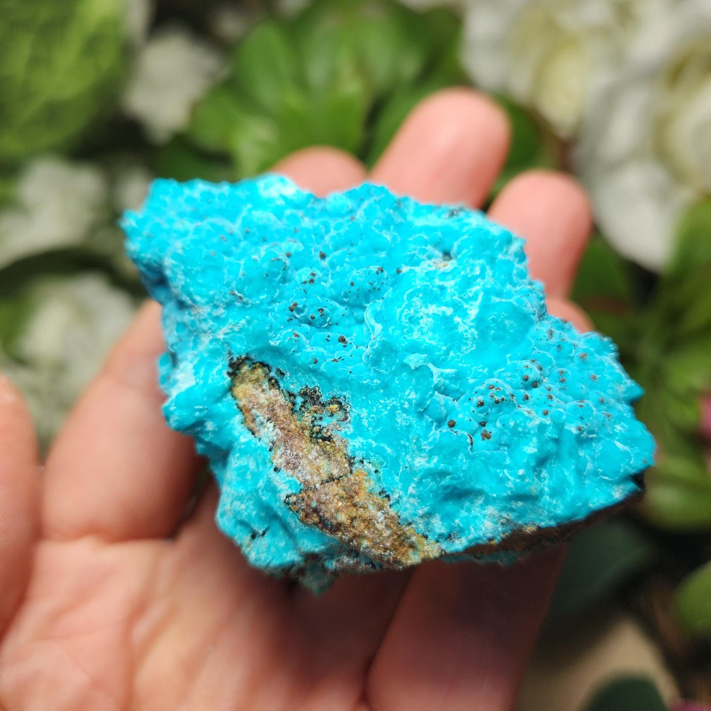 Chrysocolla Specimen