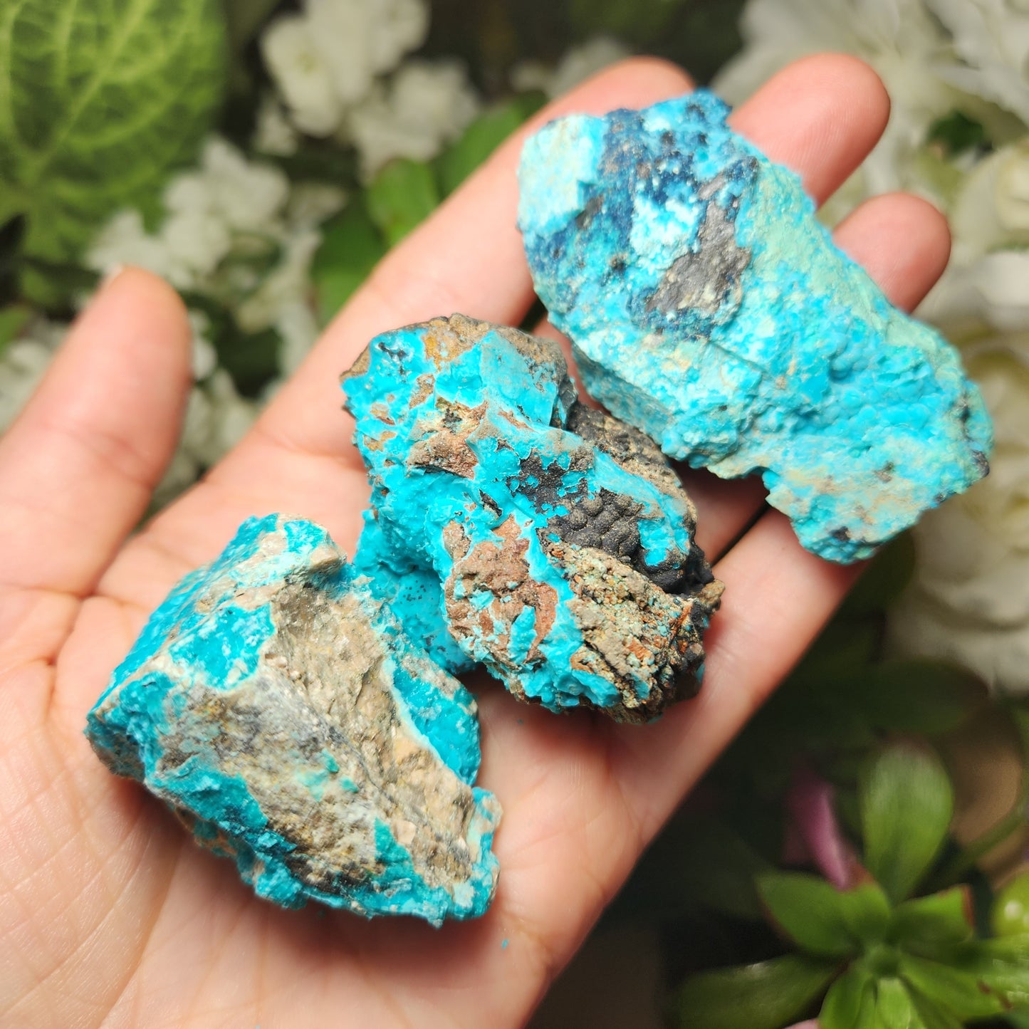 Chrysocolla Specimen