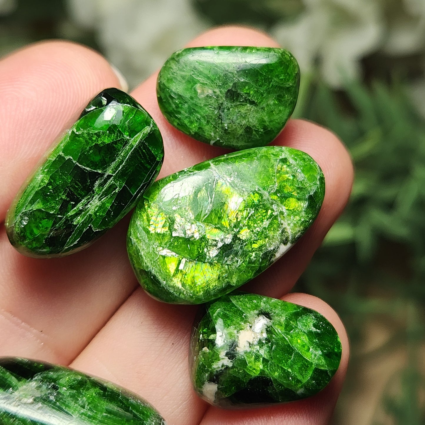 Chrome Green Diopside Tumbled Crystal Gem