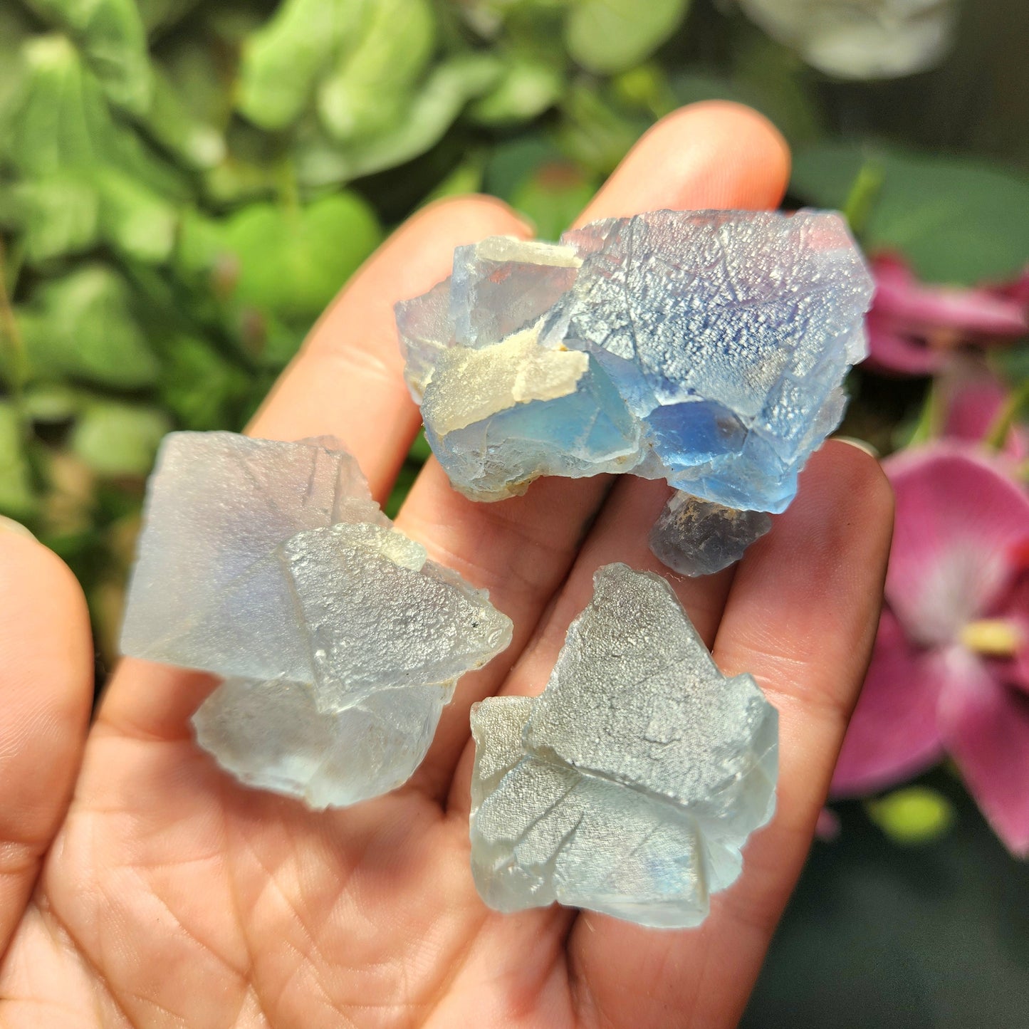 Cubic Blue Fluorite