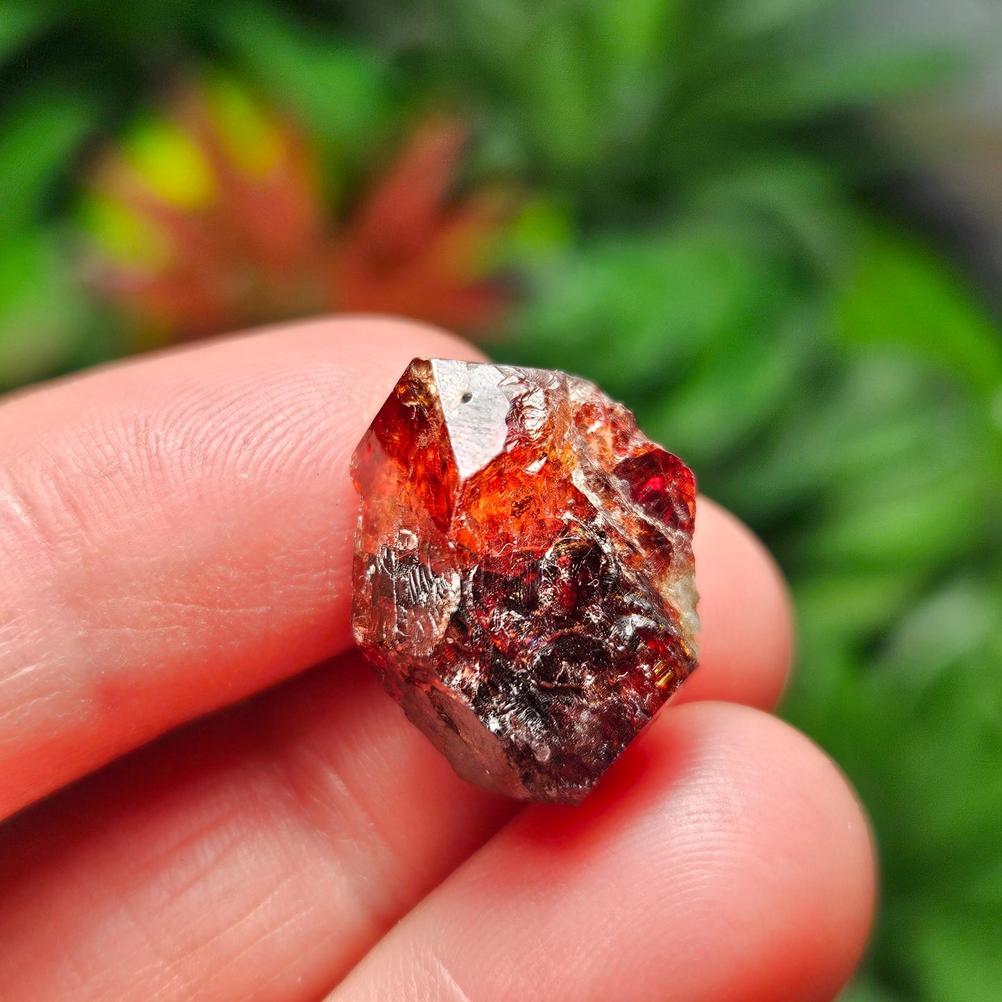 Zircon Crystal