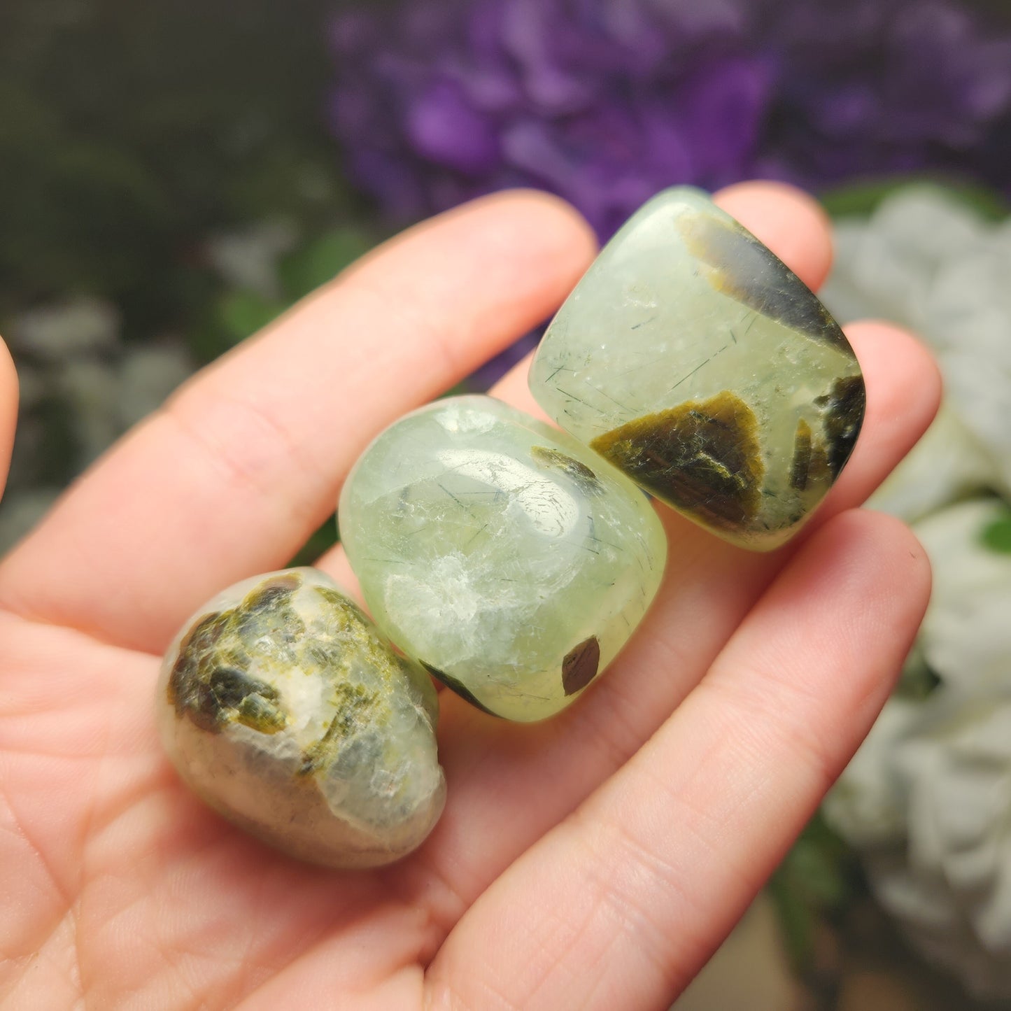 Prehnite Epidote
