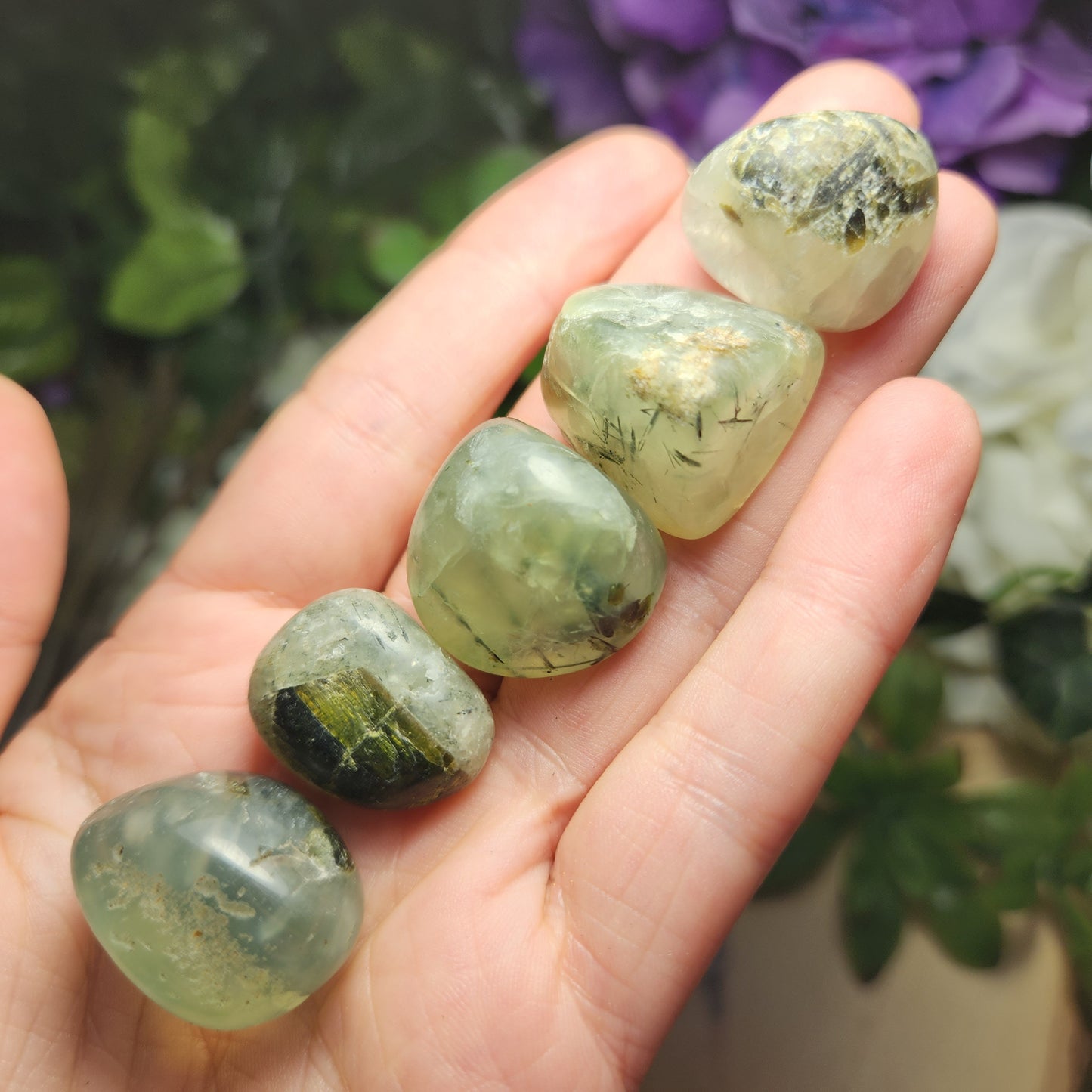 Prehnite Epidote