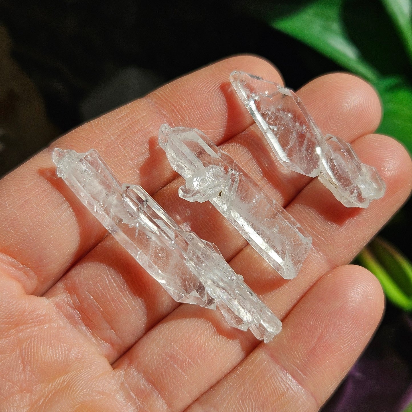 Faden Quartz Crystal