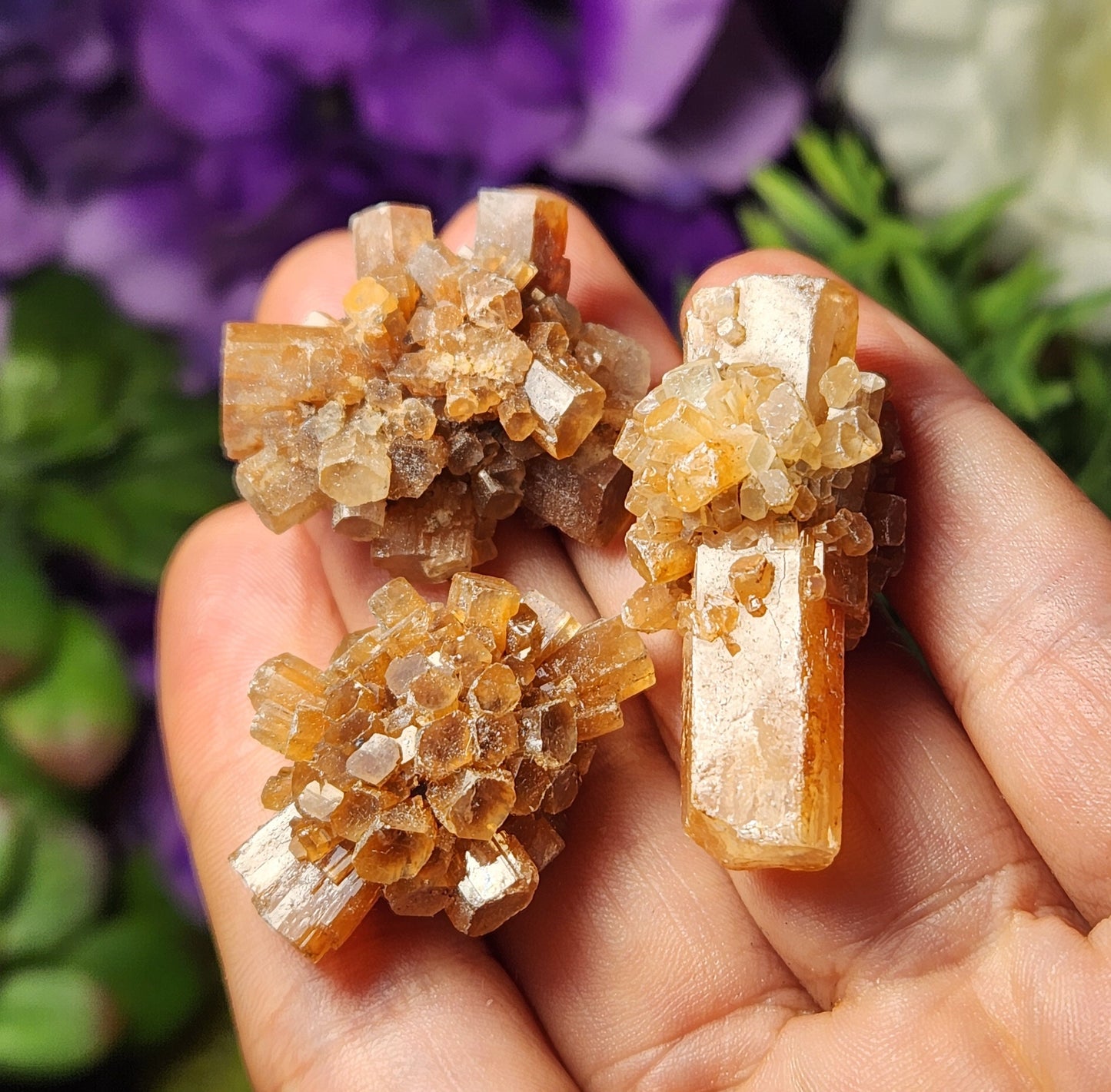 Aragonite Star Cluster