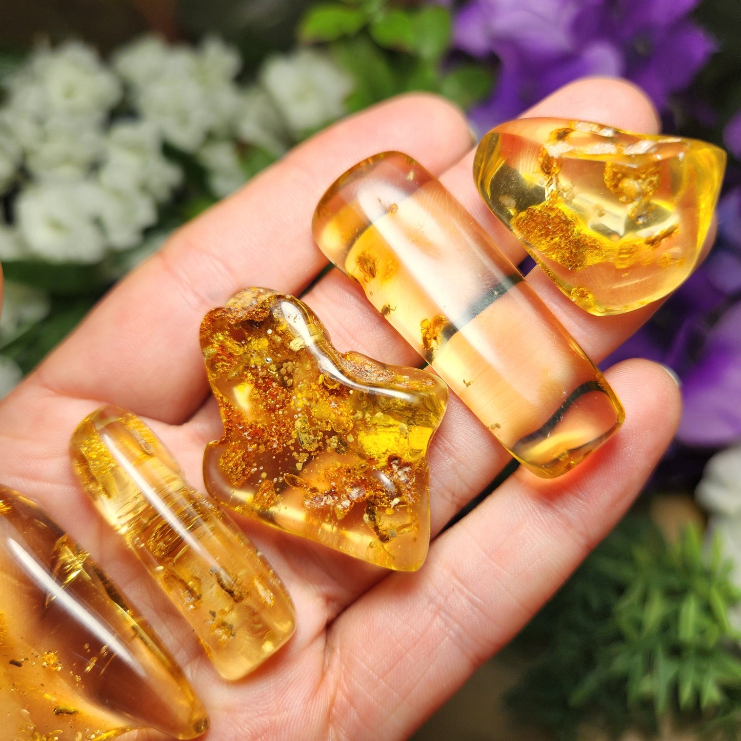 Amber with Bugs