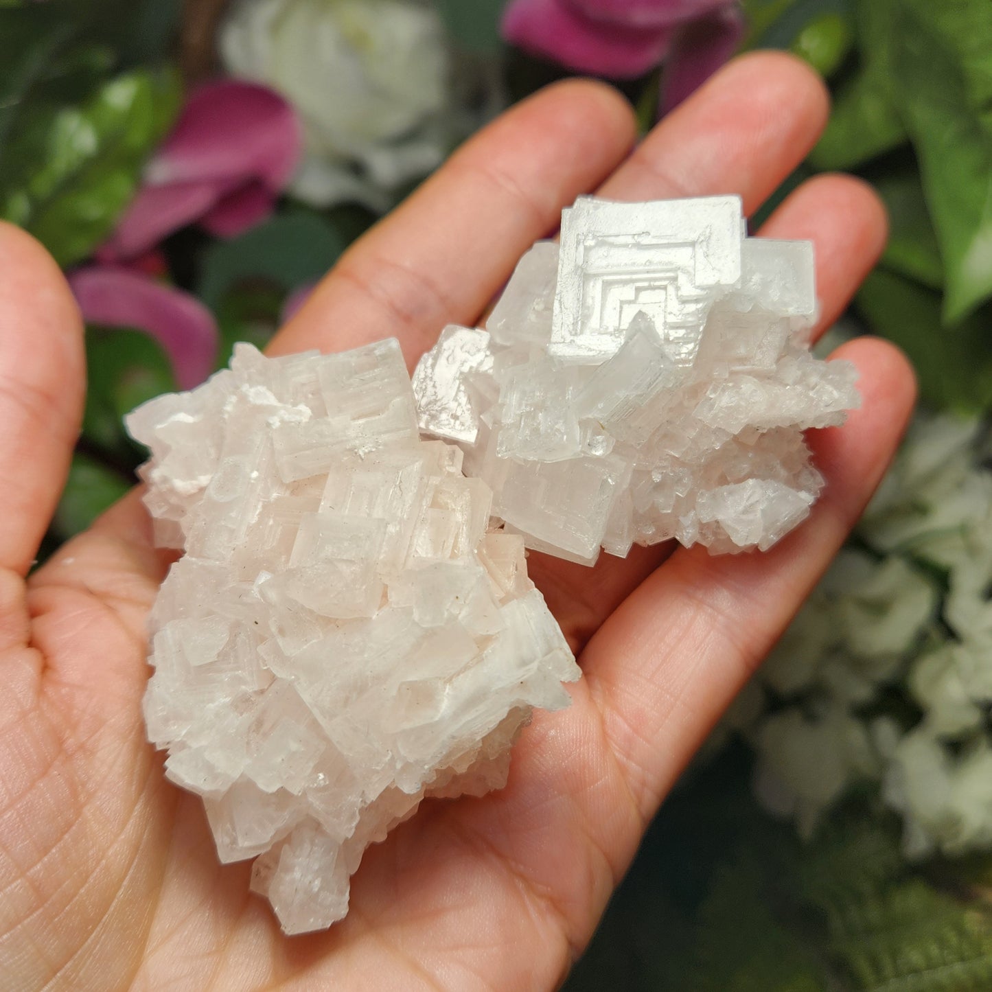 Pink Halite