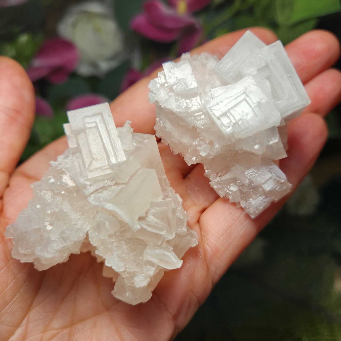 Pink Halite