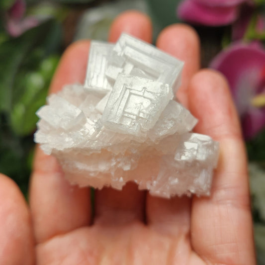 Pink Halite