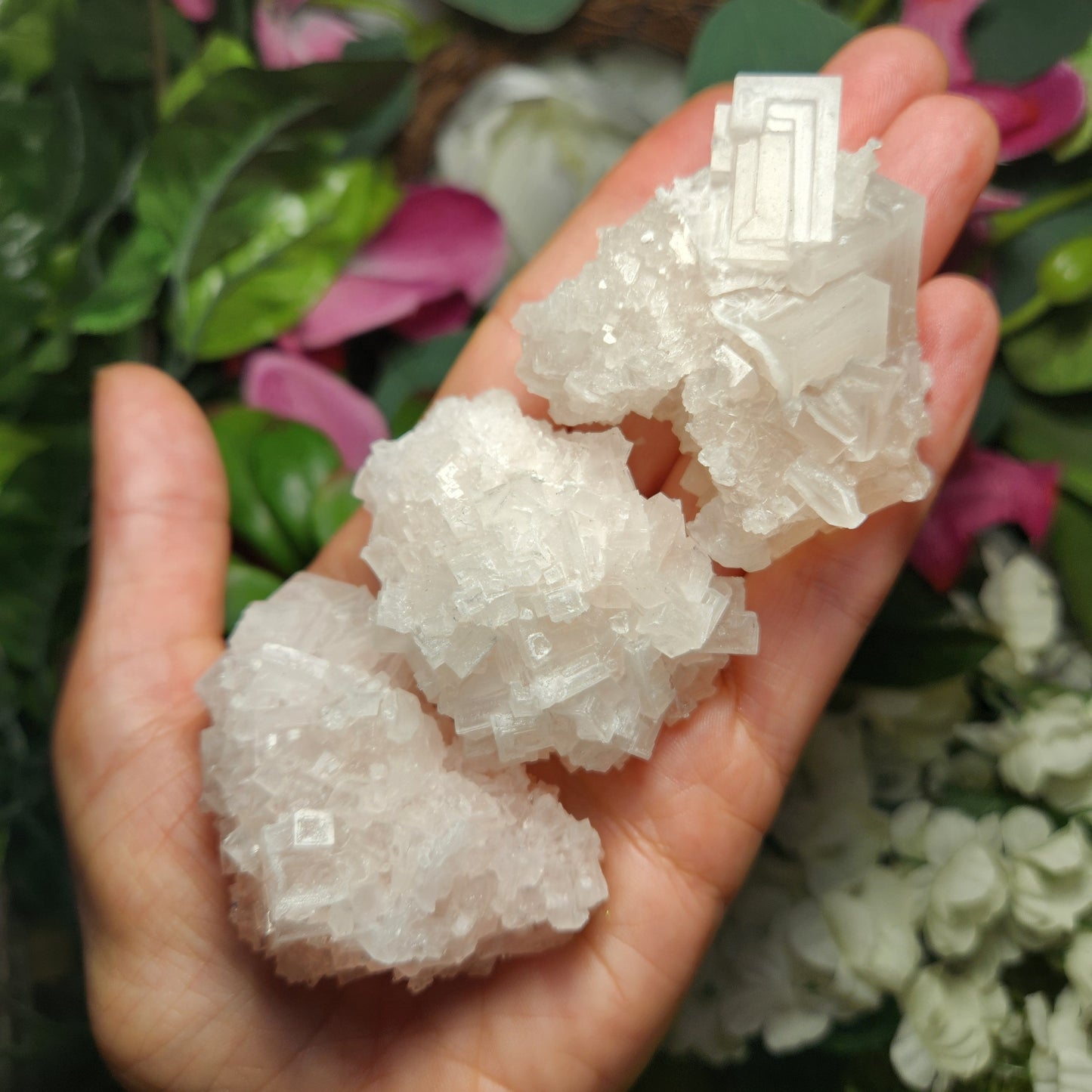 Pink Halite