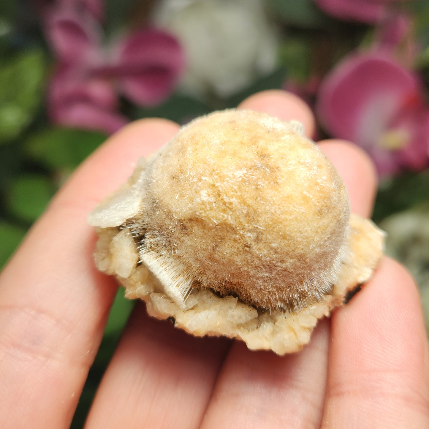 Thomsonite Stone