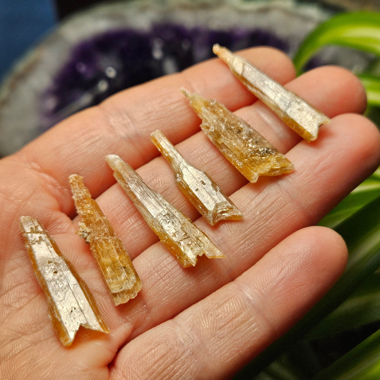 FISHTAIL Selenite