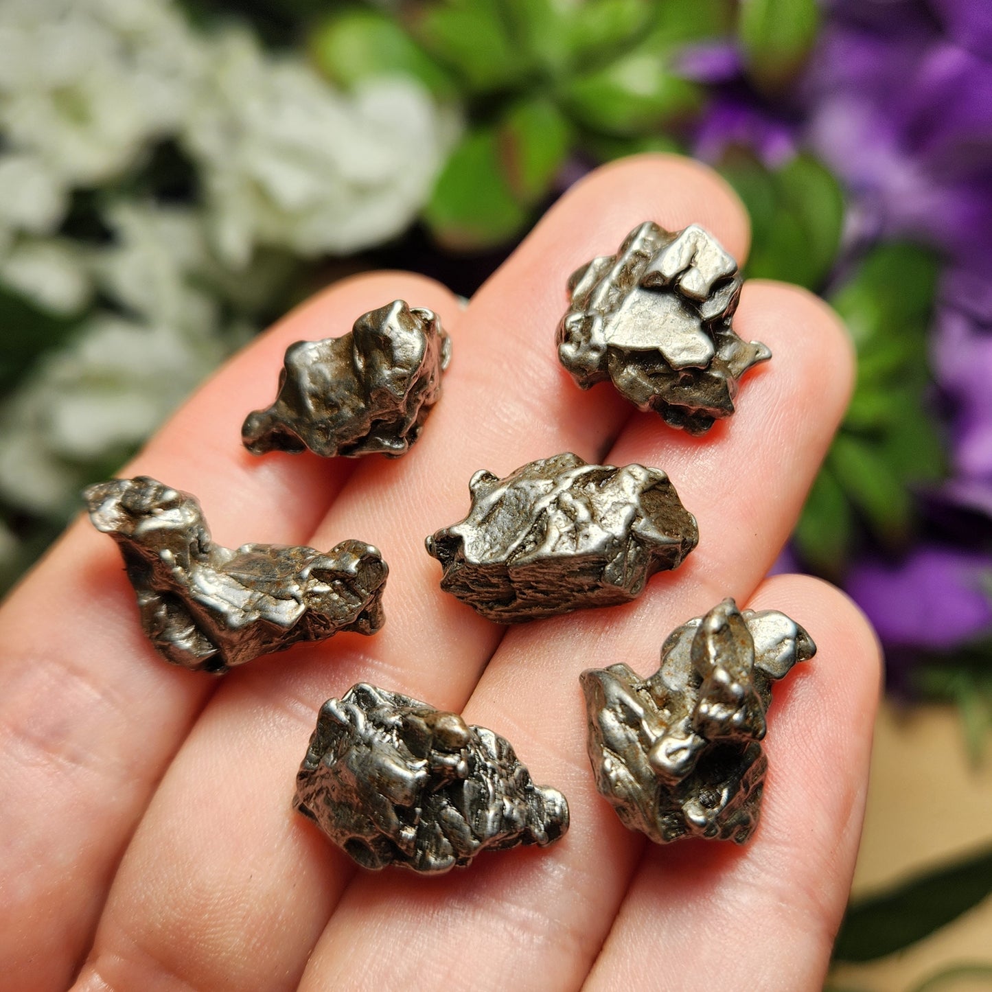 Meteorite Specimen