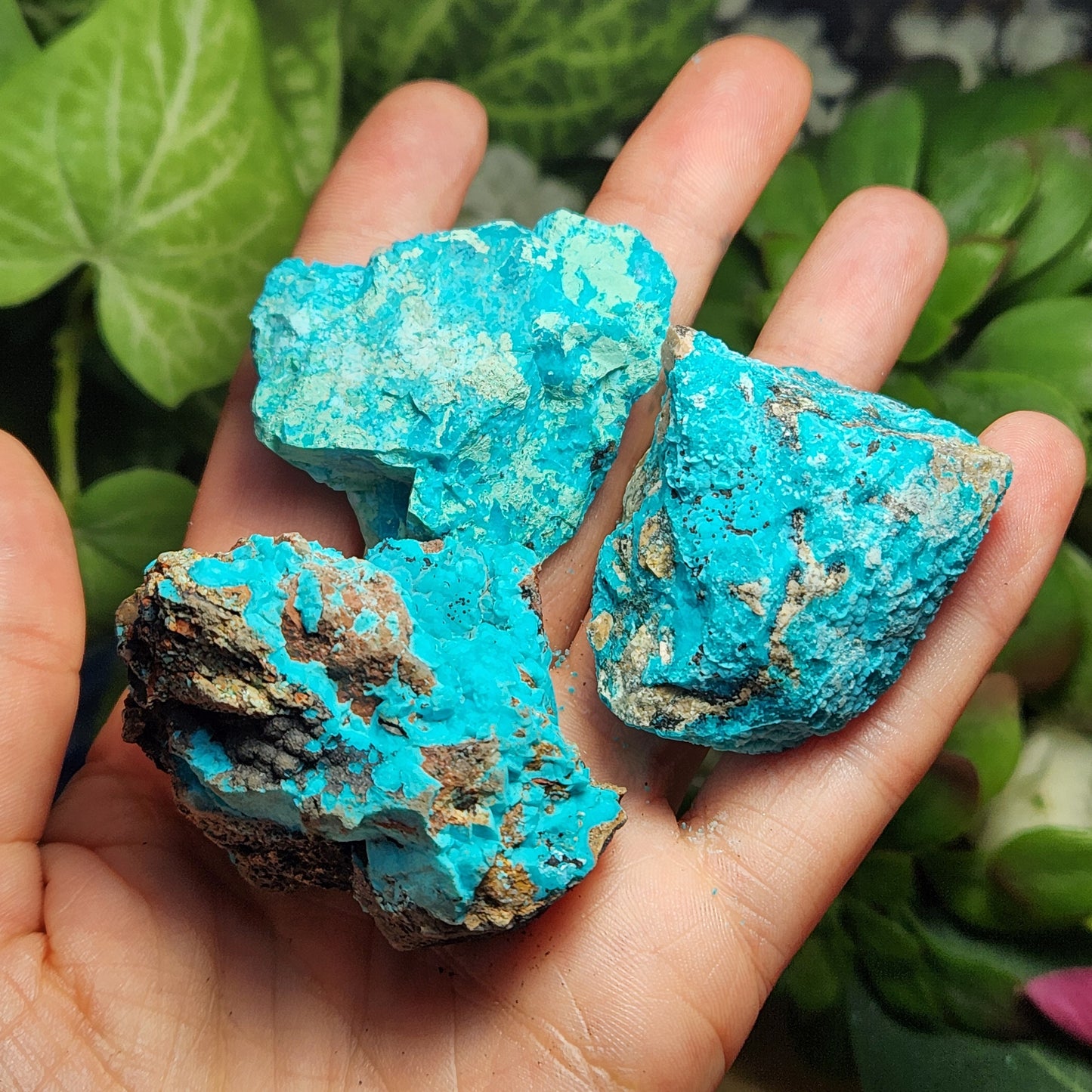 Chrysocolla Specimen