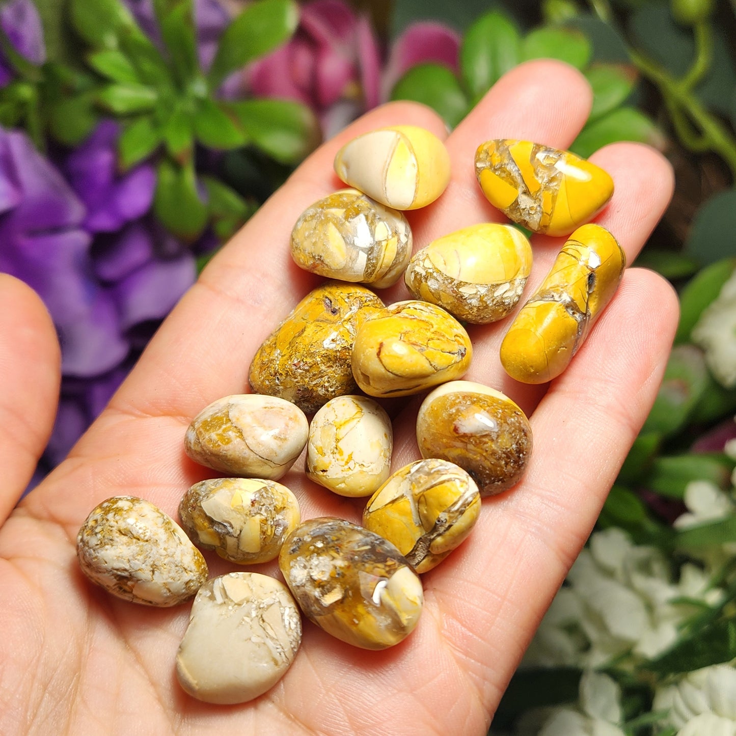 Brecciated Mookaite