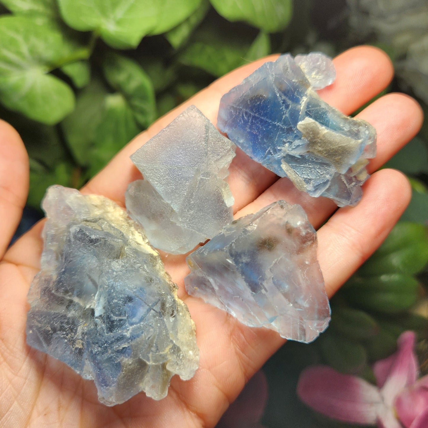 Cubic Blue Fluorite