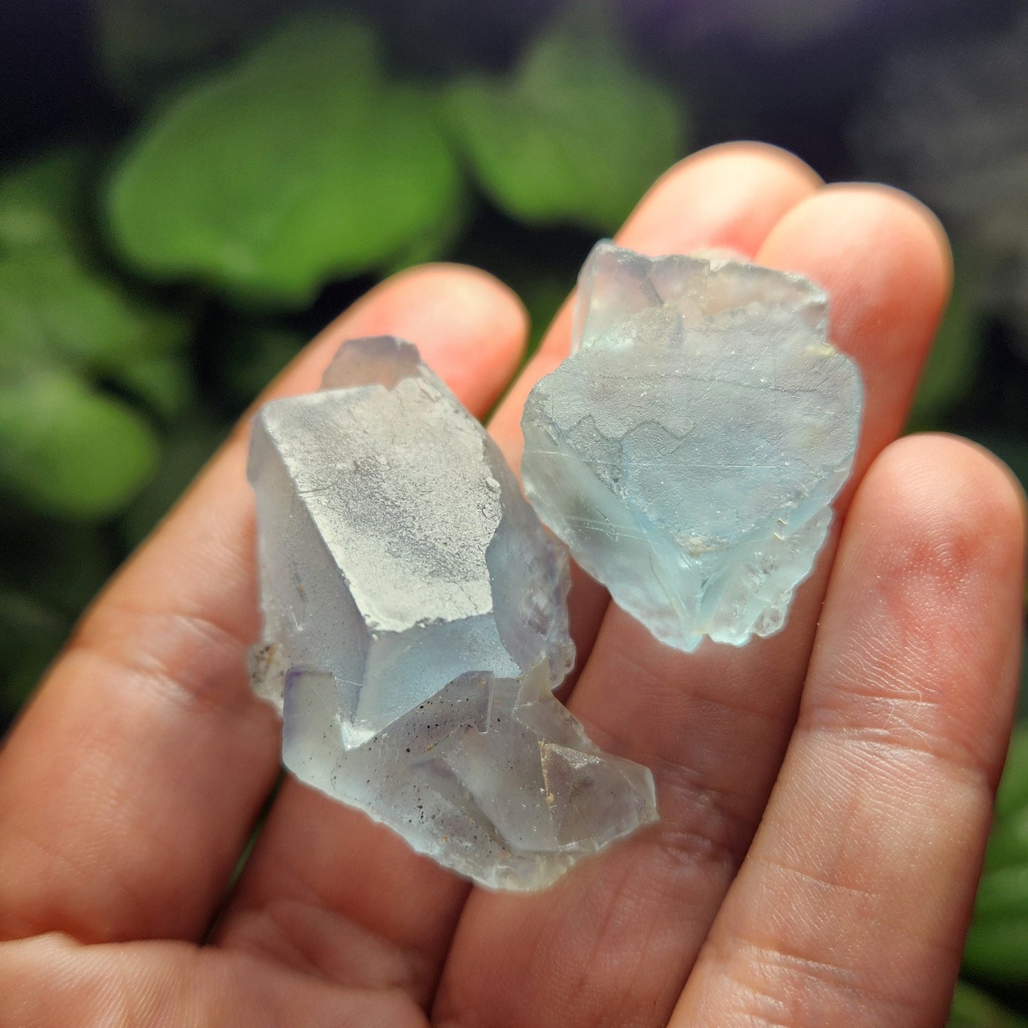 Cubic Blue Fluorite