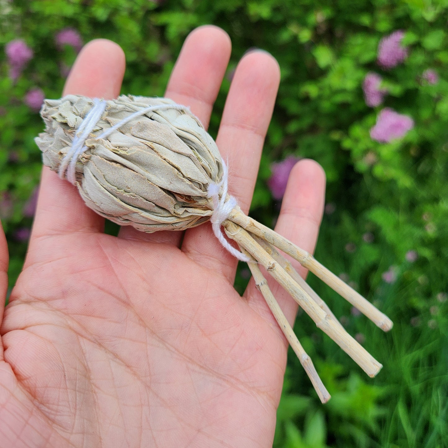 White Sage Stick