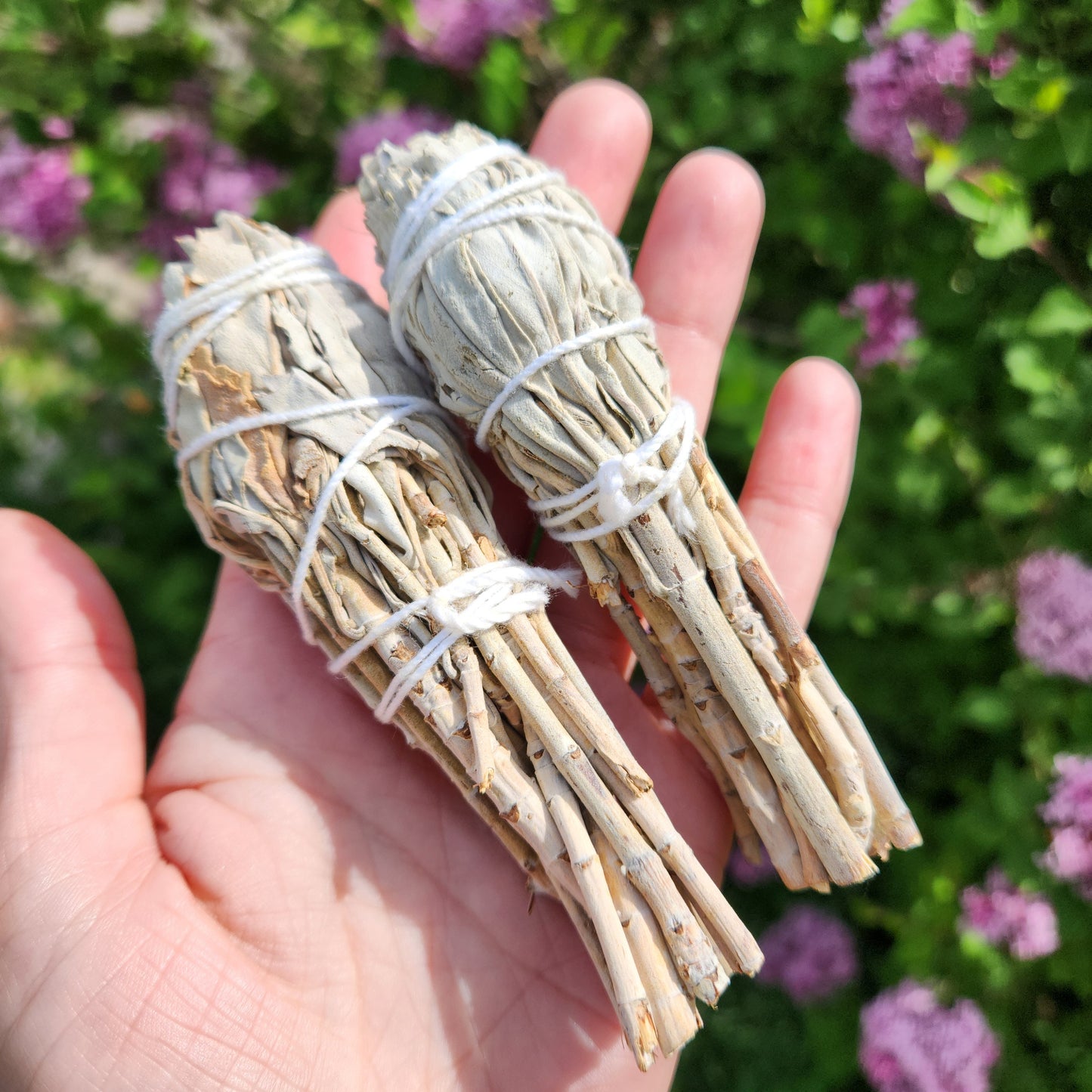 White Sage Stick
