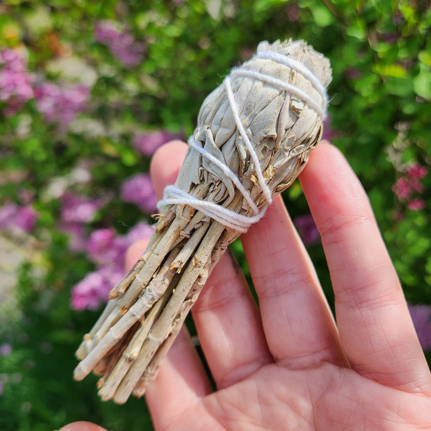 White Sage Stick