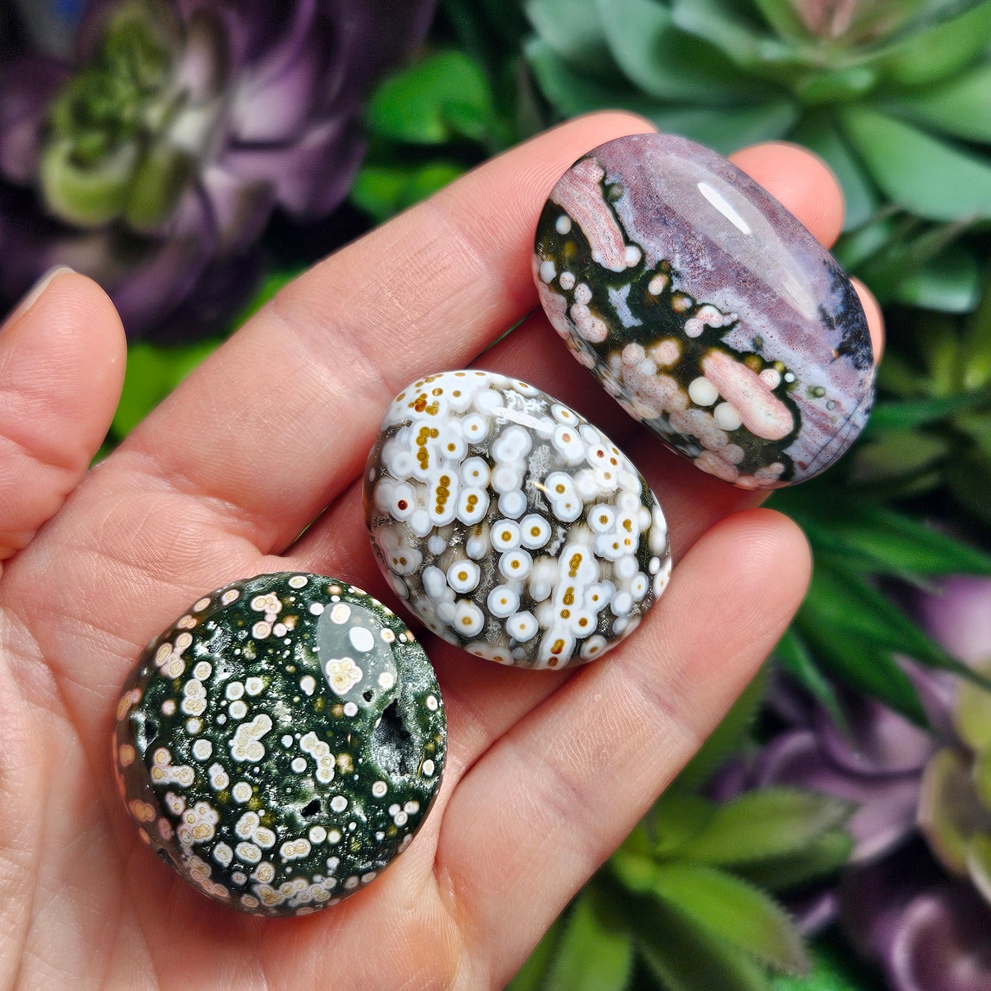 Orbicular Ocean Jasper