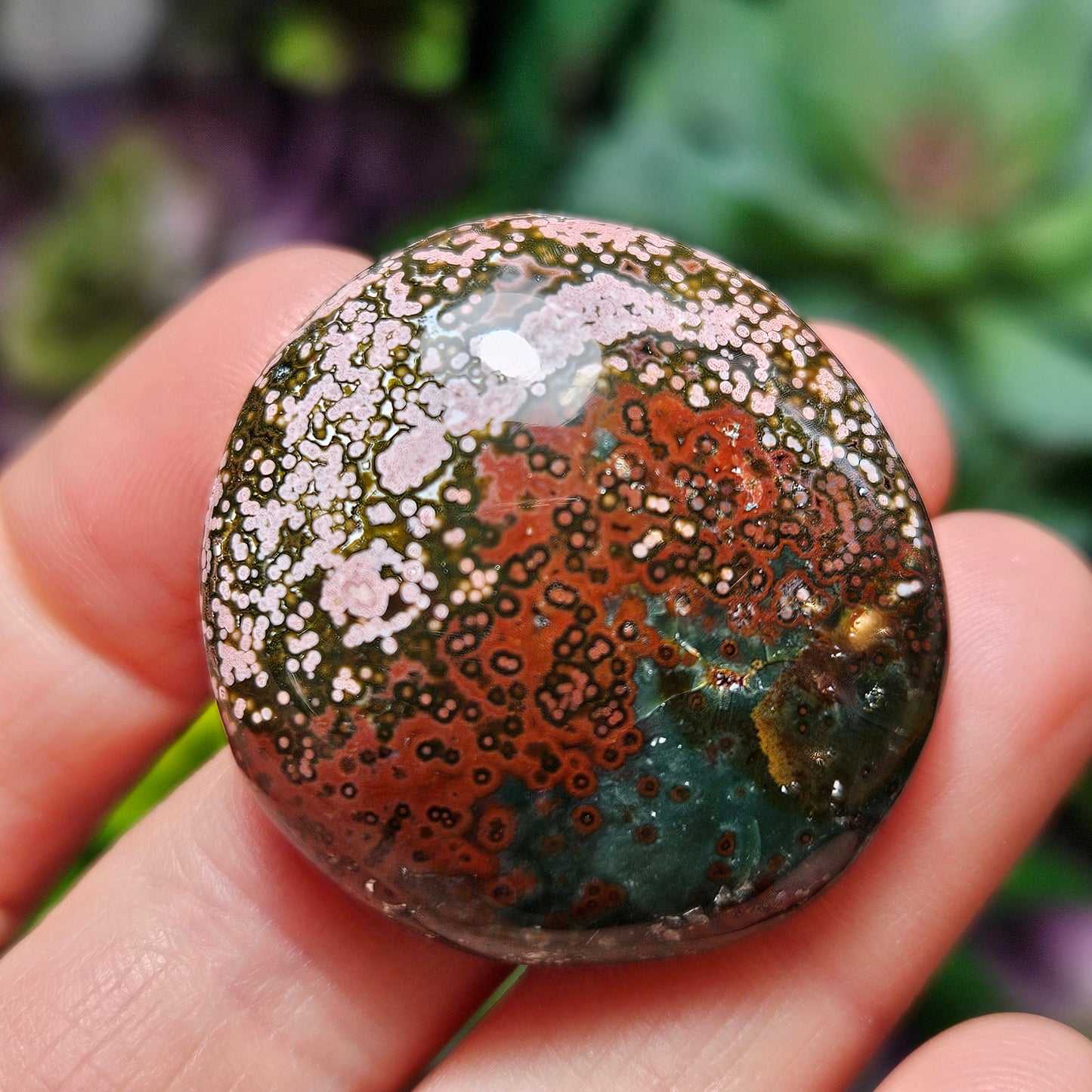 Orbicular Ocean Jasper