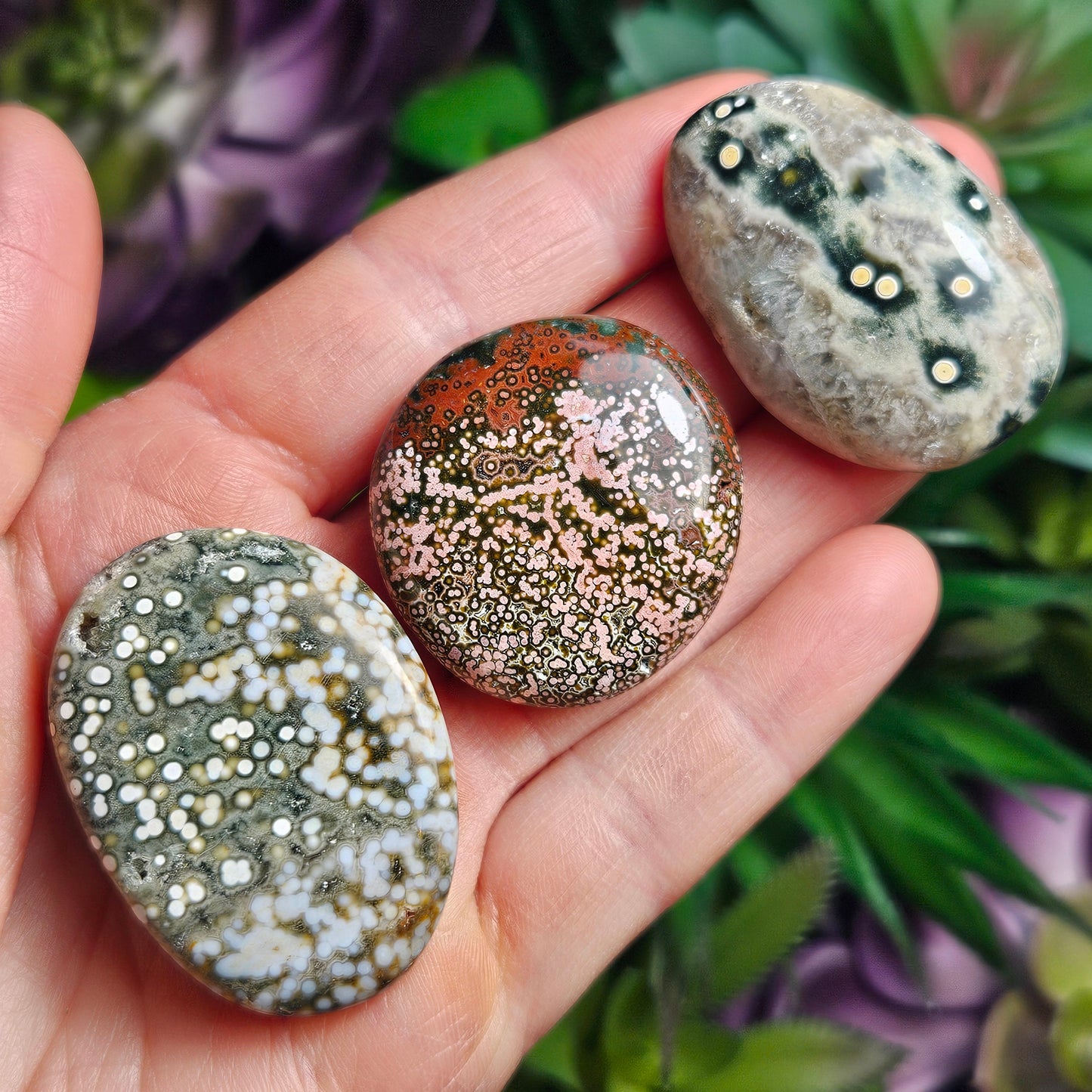 Orbicular Ocean Jasper