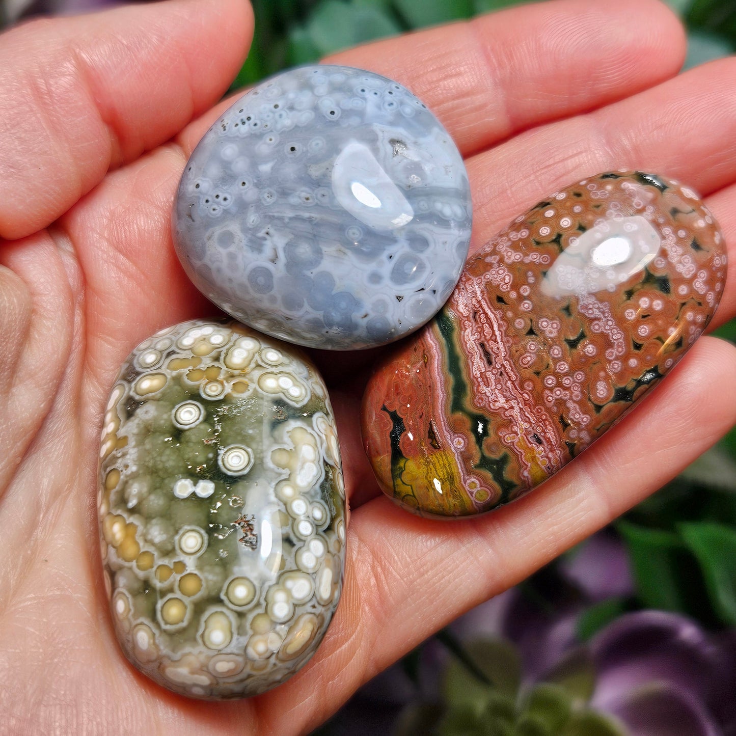 Orbicular Ocean Jasper