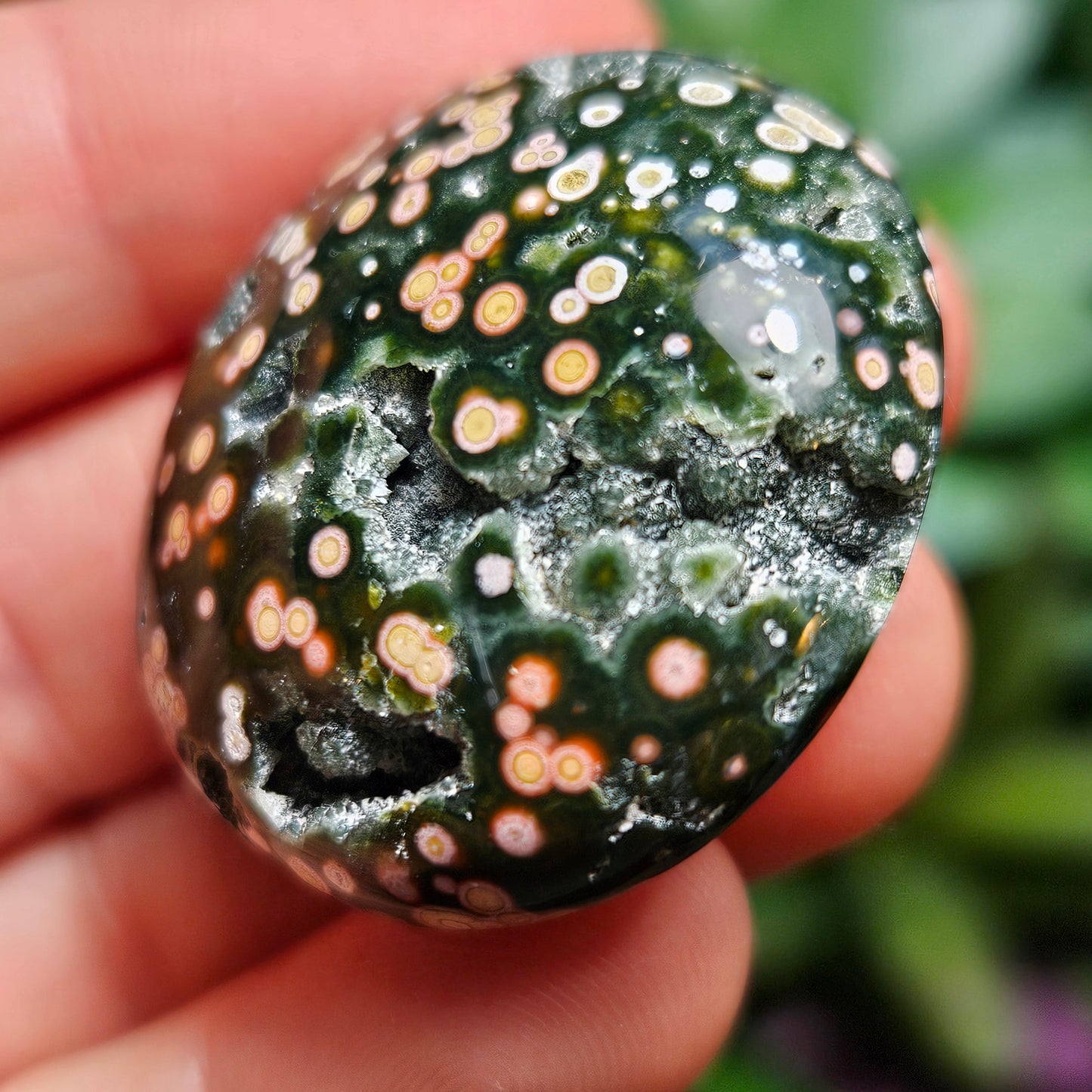 Orbicular Ocean Jasper