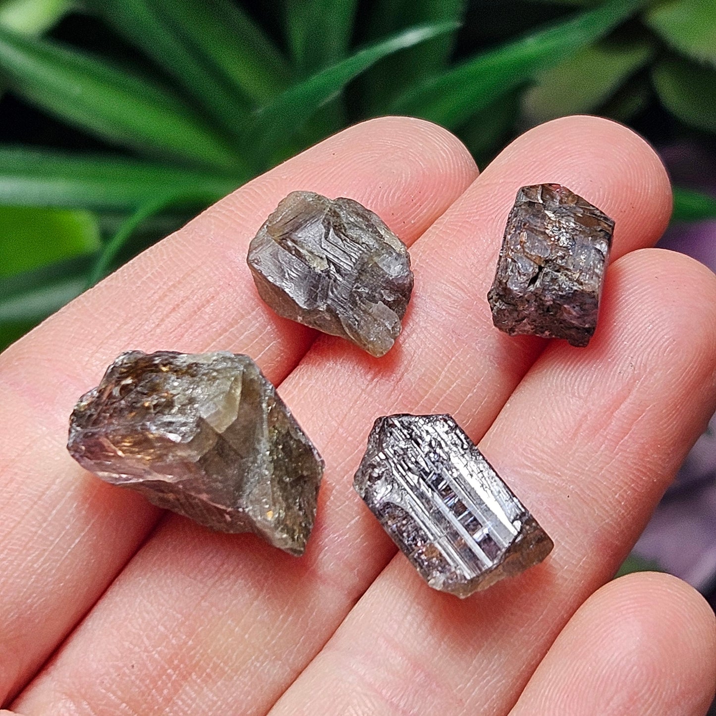 Untreated Tanzanite Crystal