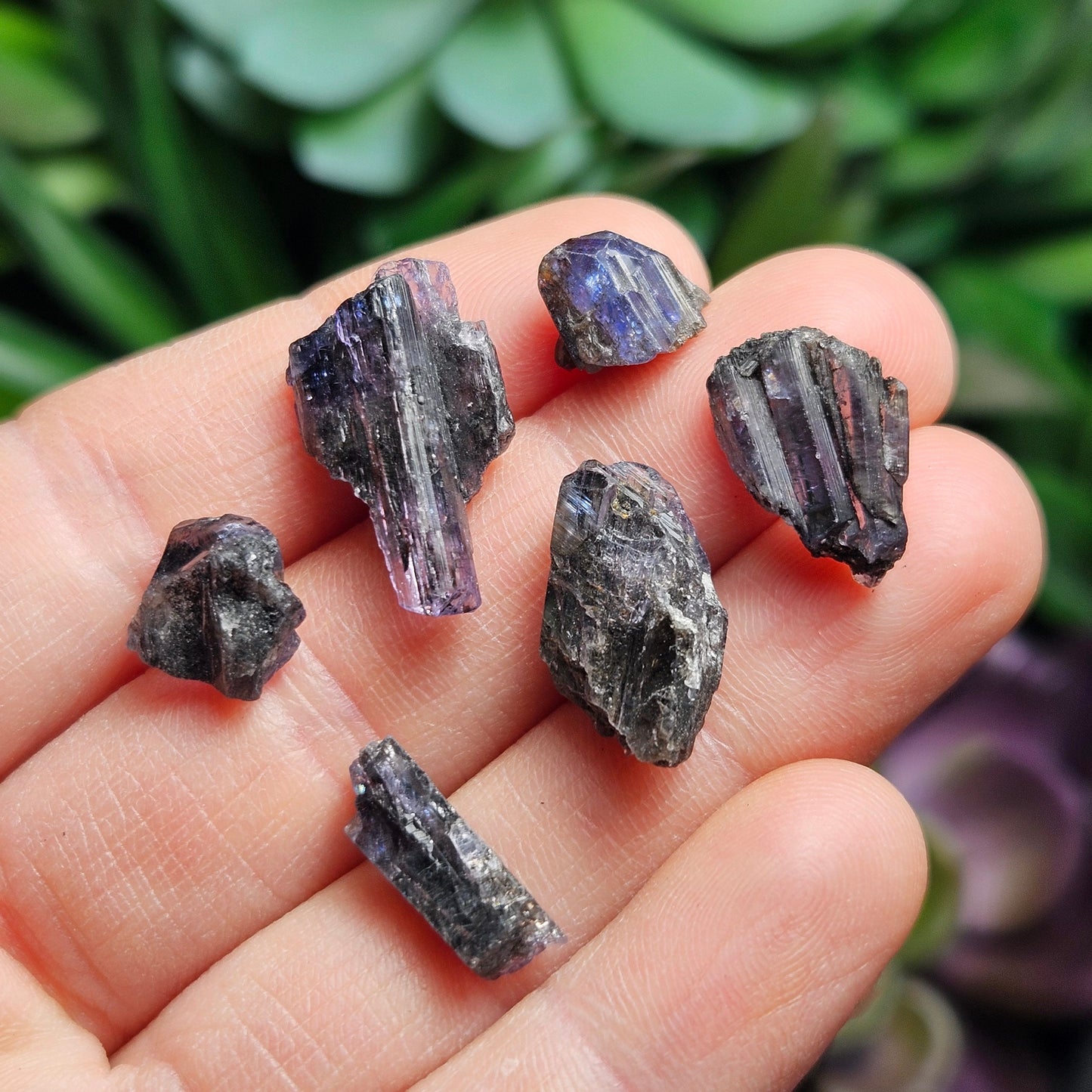 Untreated Tanzanite Crystal