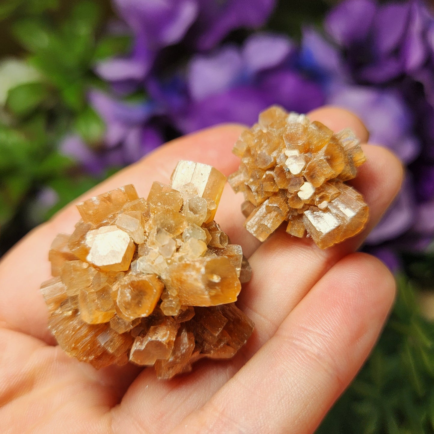 Aragonite Star Cluster