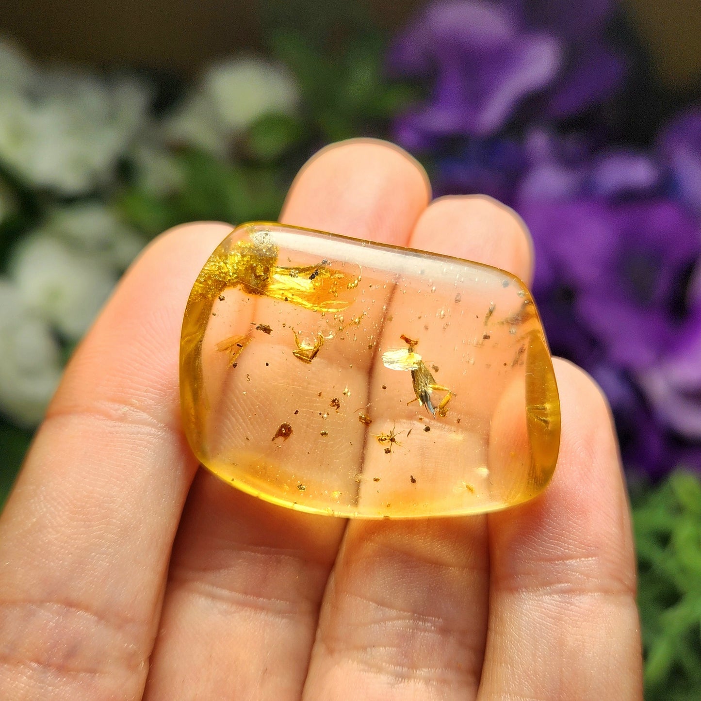 Amber with Bugs