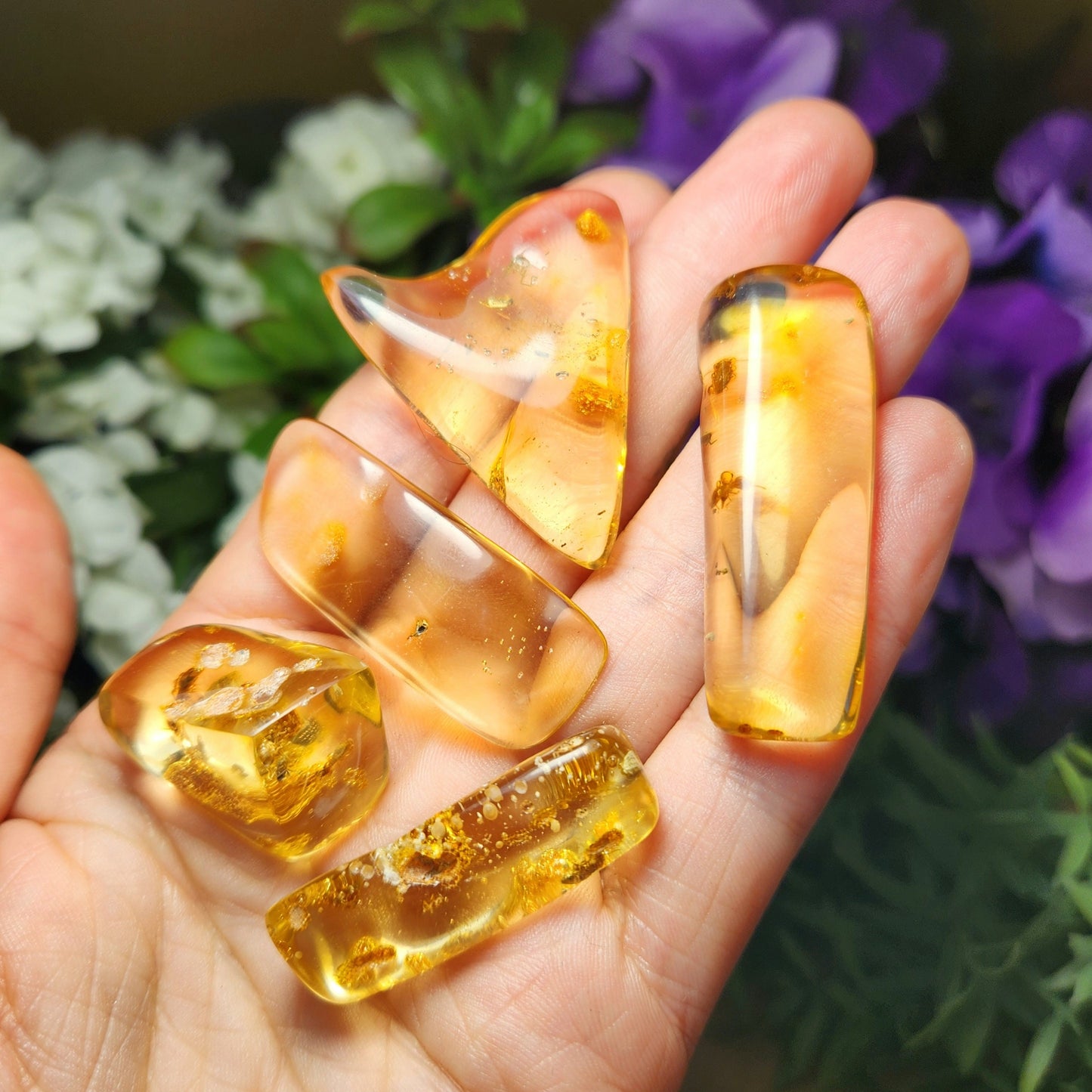 Amber with Bugs